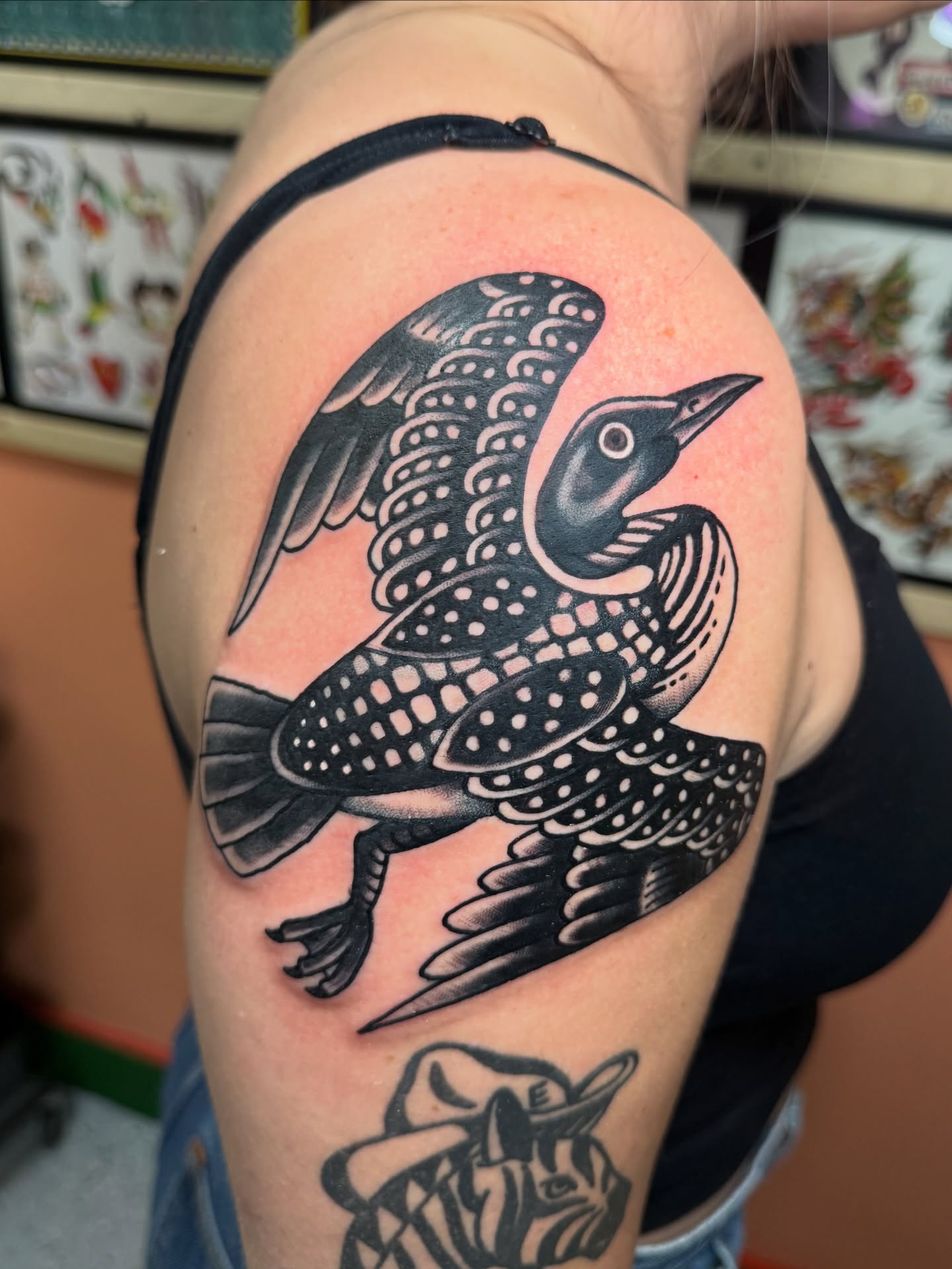 Loon American traditional tattoo on the shoulder by derrick b. π² Modern Traditional Tattoo