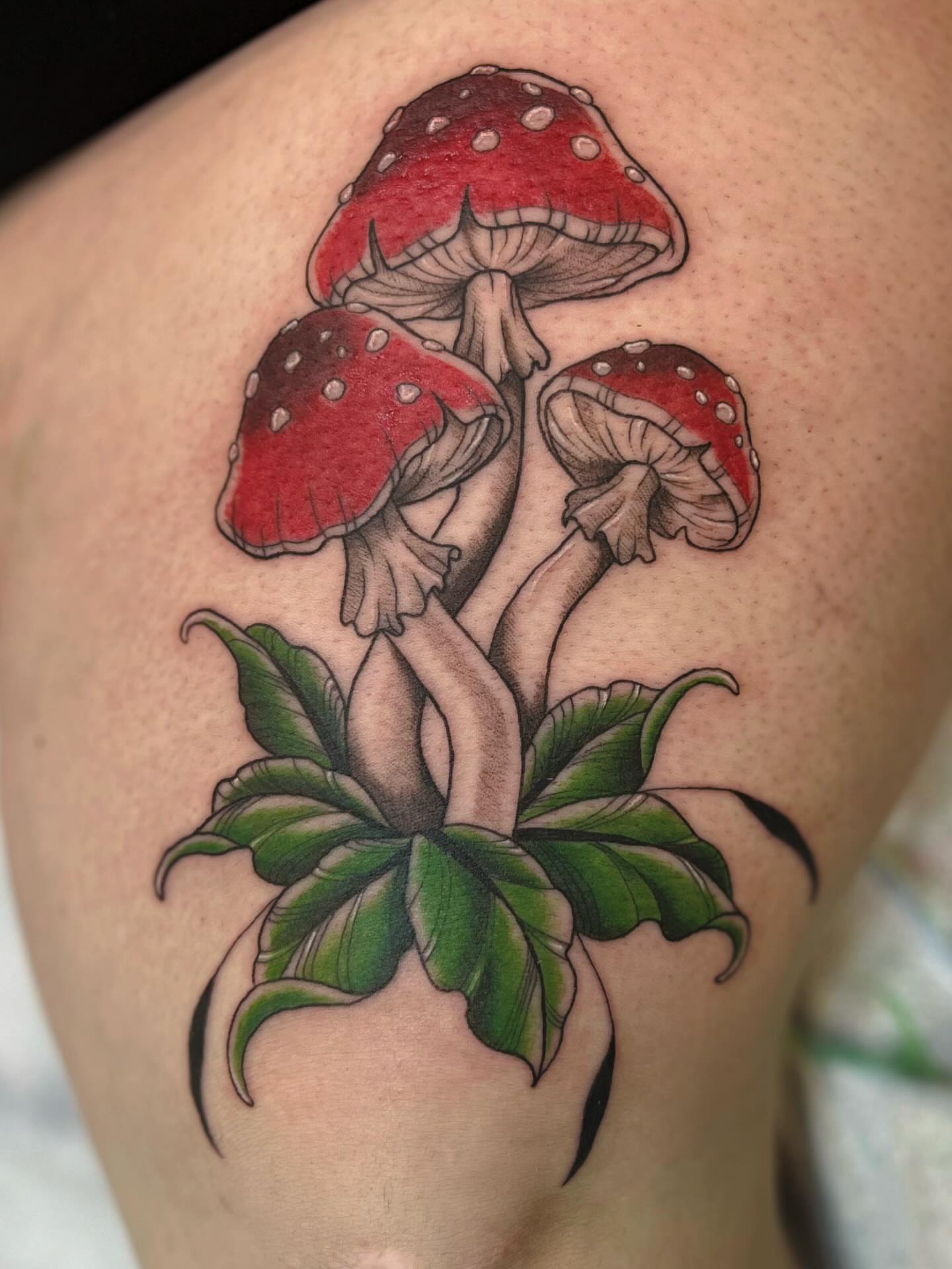 Mushroom cluster realism tattoo on the thigh by β
πΈππππ β