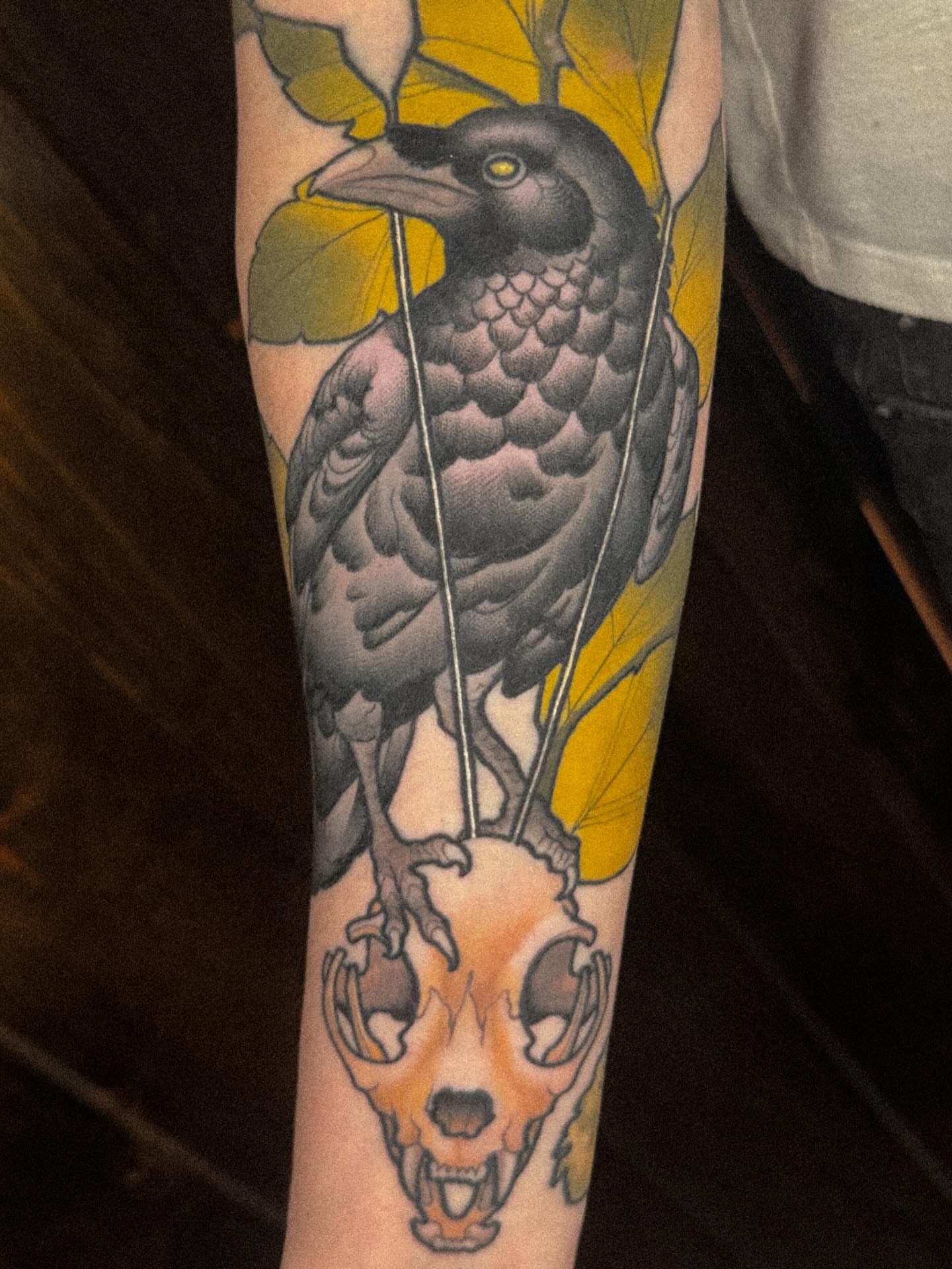 Crow and skull American traditional tattoo on the forearm by Nathan Thomas