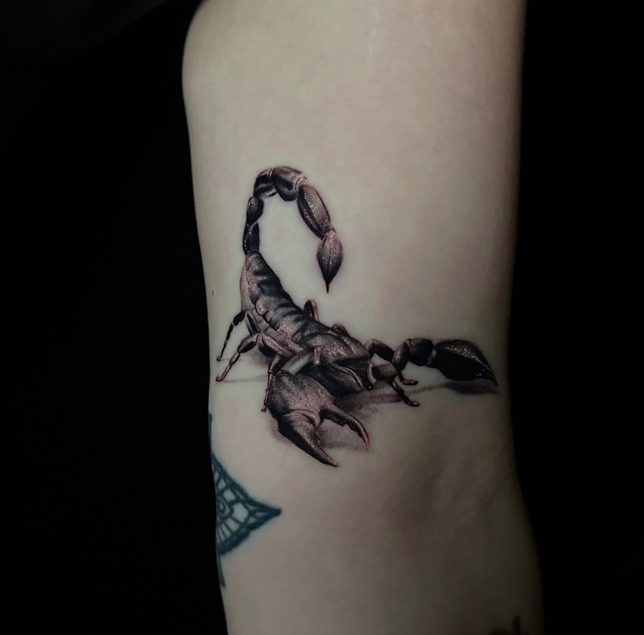 Scorpion realism tattoo on the forearm by Angel Tattoos