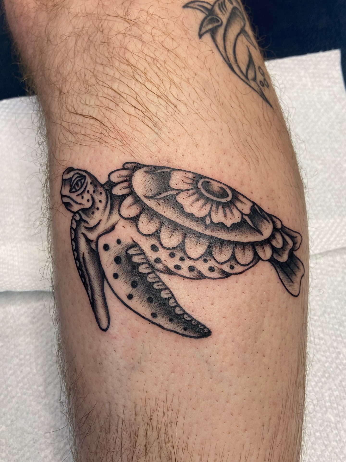 Sea turtle black and grey tattoo on the forearm by R y a n S m i t h