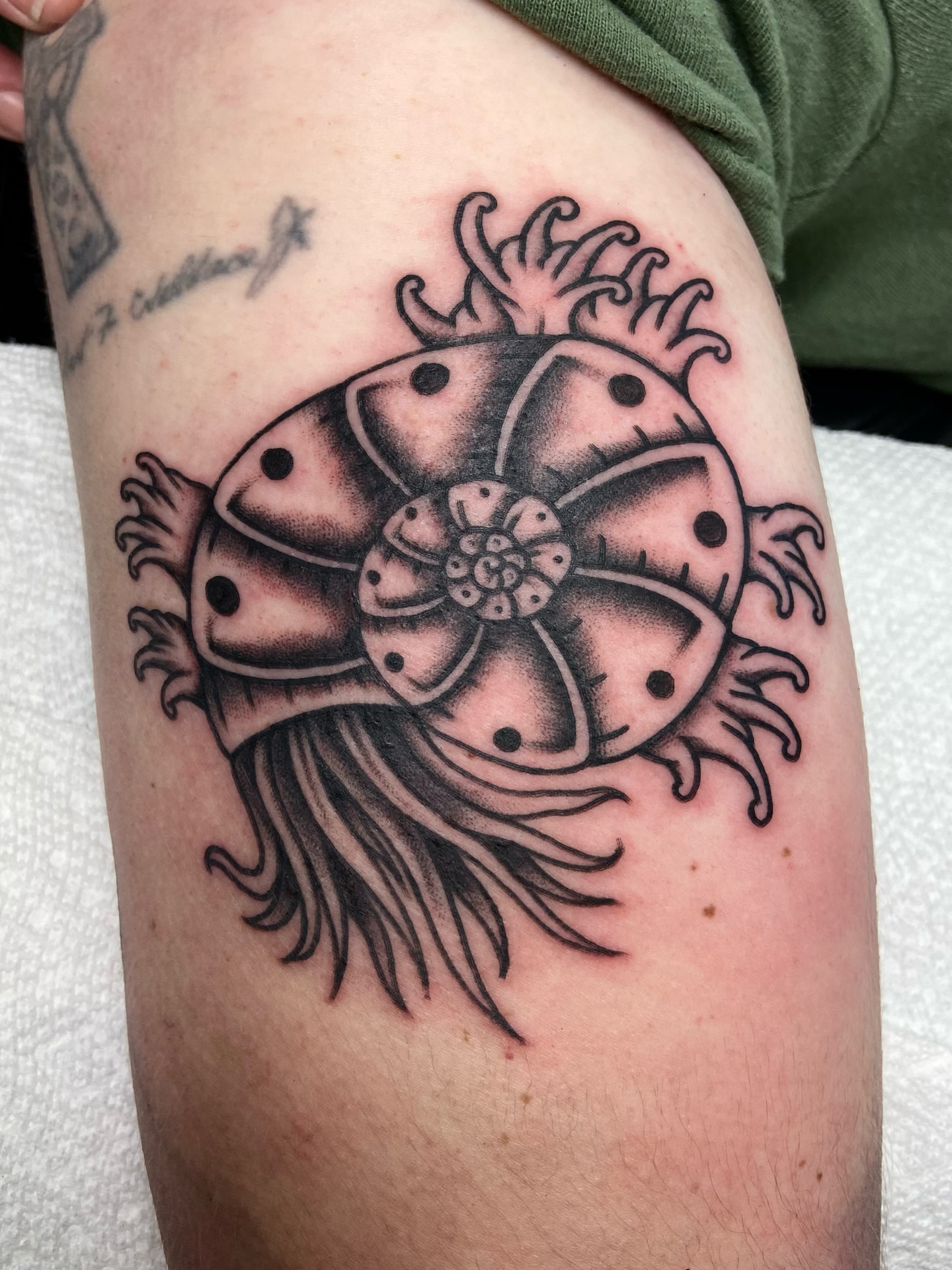 Nautilus shell black and grey tattoo on the forearm by R y a n S m i t h