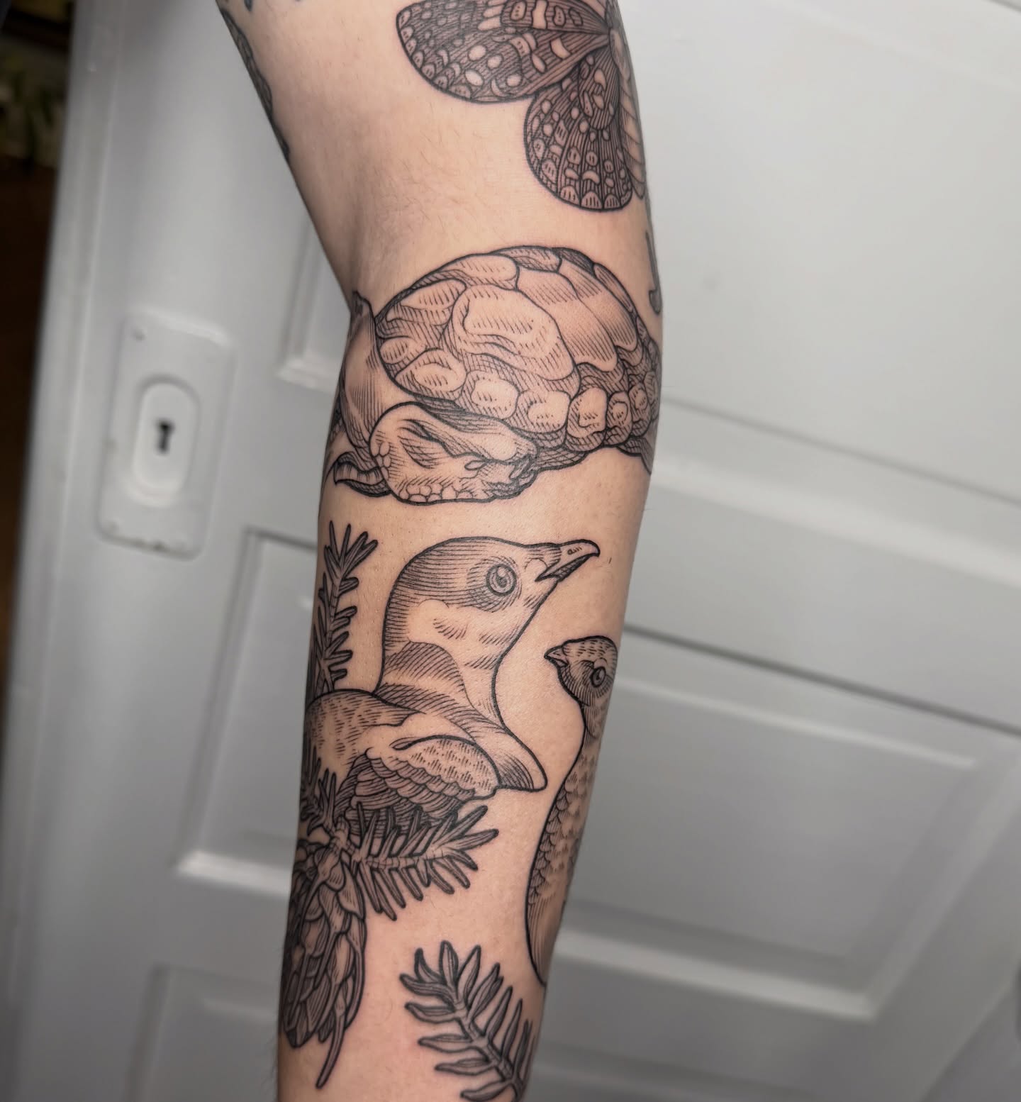 Bird and turtle black and grey tattoo on the forearm by Taylor 🍂☕️