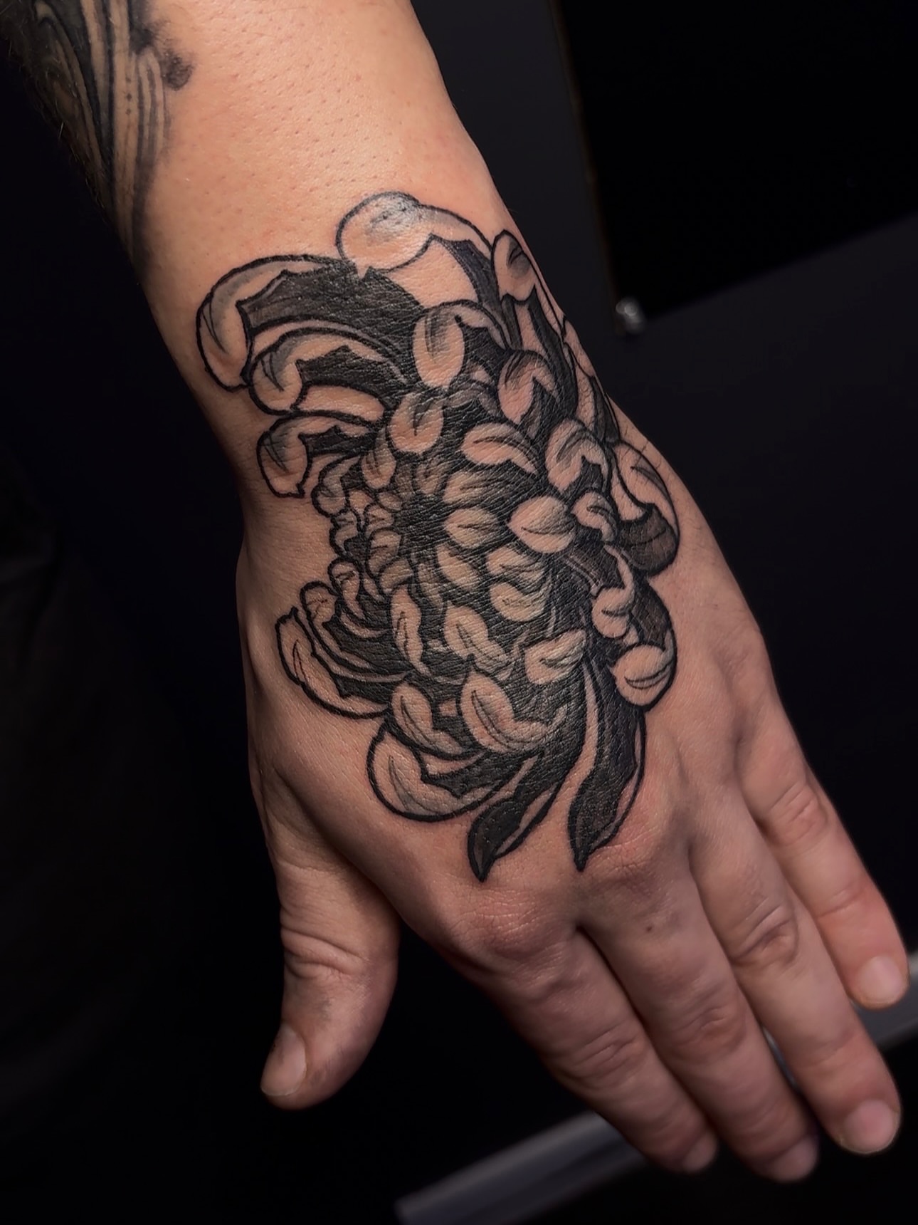 Peony black and grey tattoo on the hand by πͺππππ π¨ππππππ
ππ π΅π, West Hempstead, New York