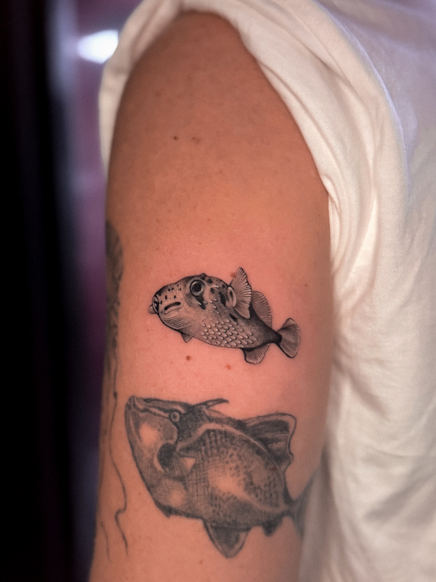 Fish realism tattoo on the forearm by πππΉππππππππππππ