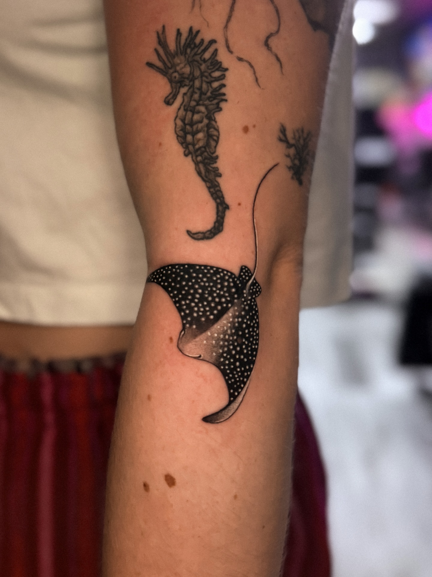 Seahorse and stingray dotwork tattoo on the forearm by πππΉππππππππππππ