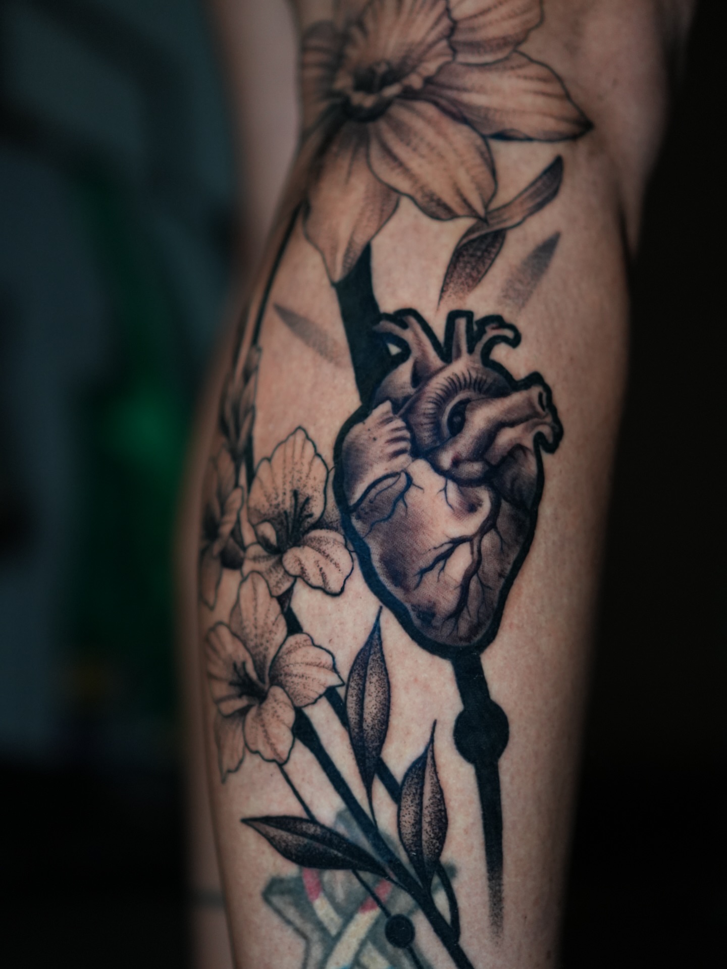 Anatomical heart with flowers realism tattoo on the forearm by Drex - Dallas Tattoo Artist