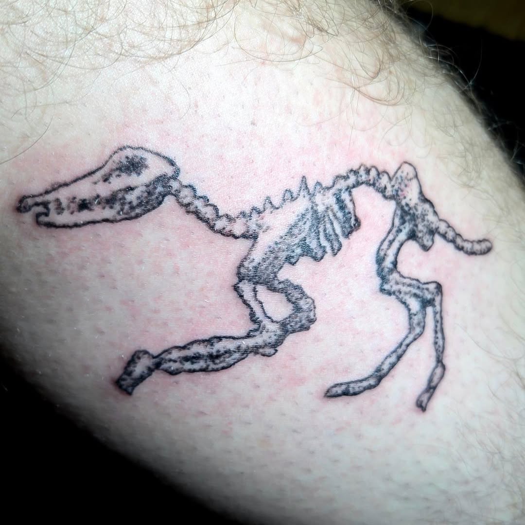 Dog skeleton sketch tattoo on the forearm by π«