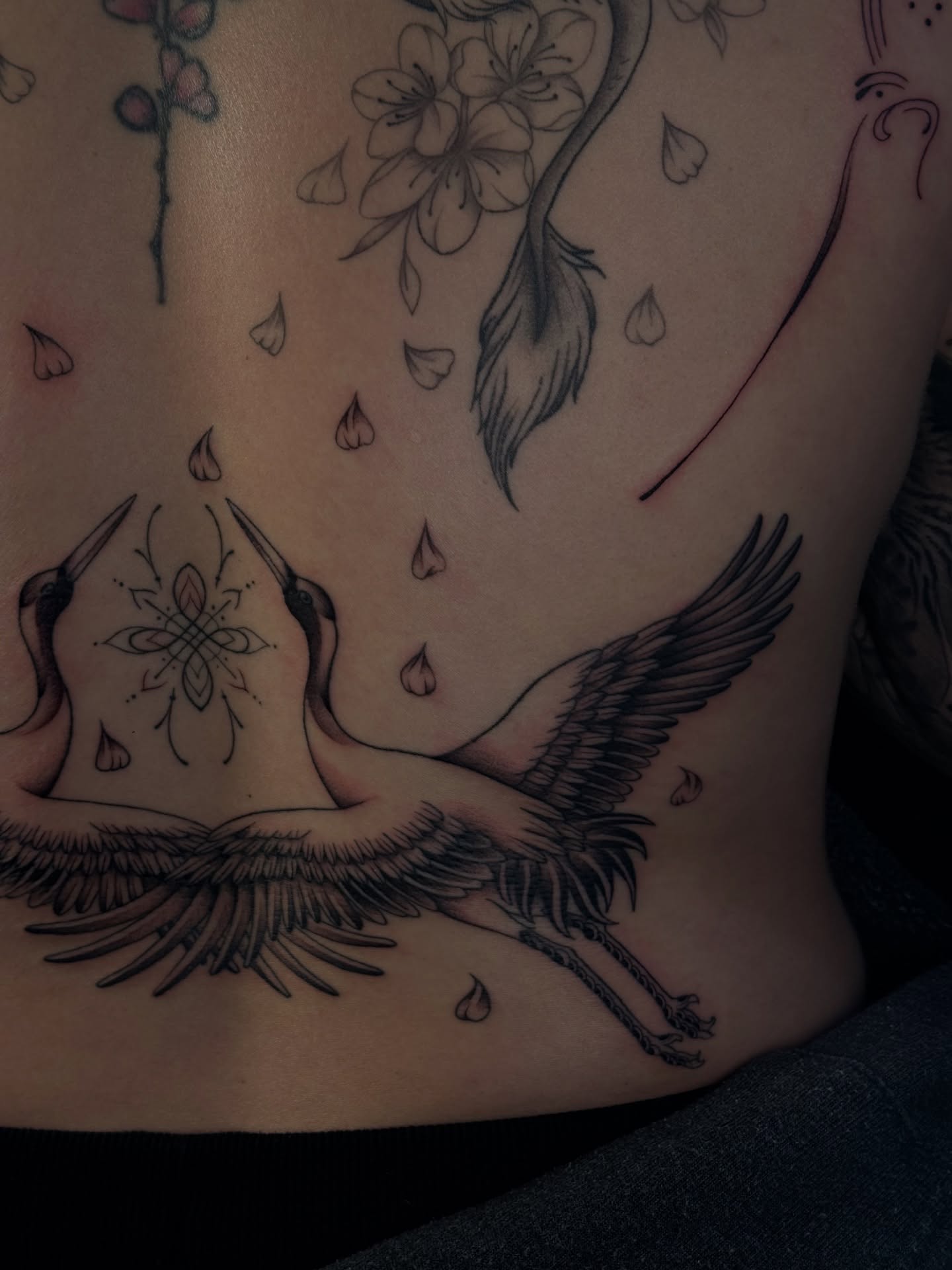 Cranes and flowers black and grey tattoo on the back by 𝔍𝔲𝔩𝔦𝔞, New York, New York