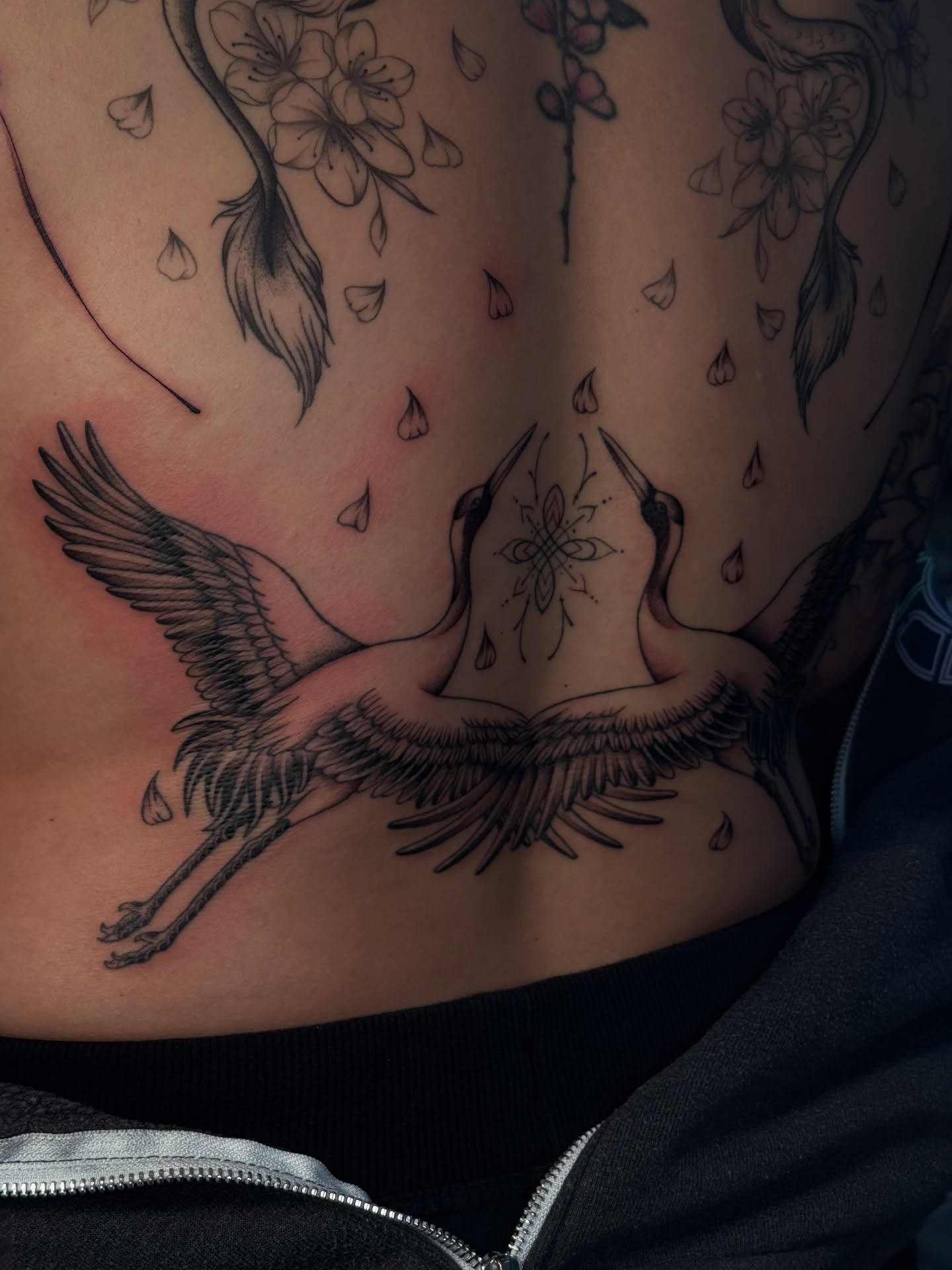 Cranes and flowers black and grey tattoo on the torso by 𝔍𝔲𝔩𝔦𝔞, New York, New York