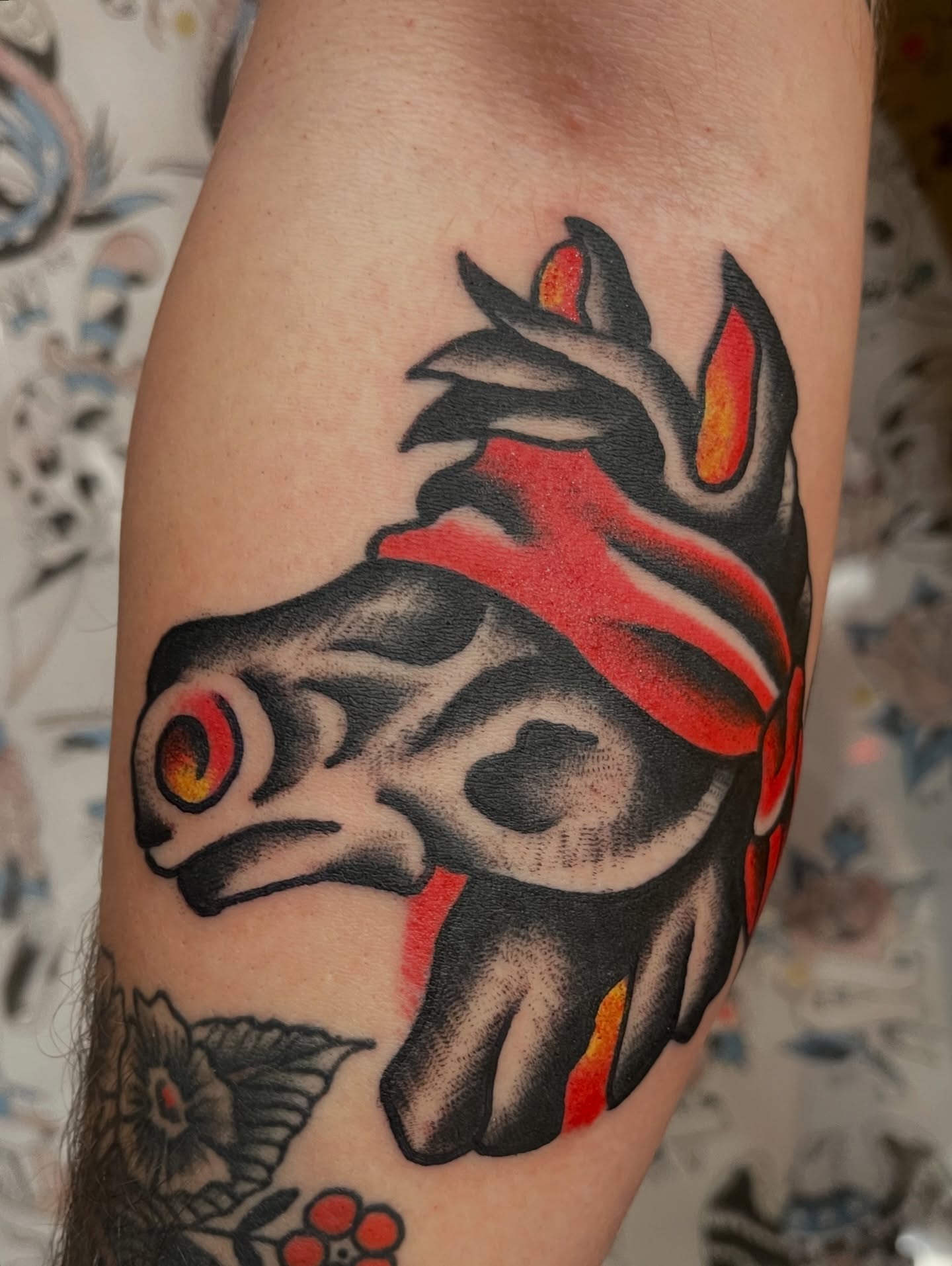 Bull American traditional tattoo on the forearm by Alex Garcia - Sac City Tattoo