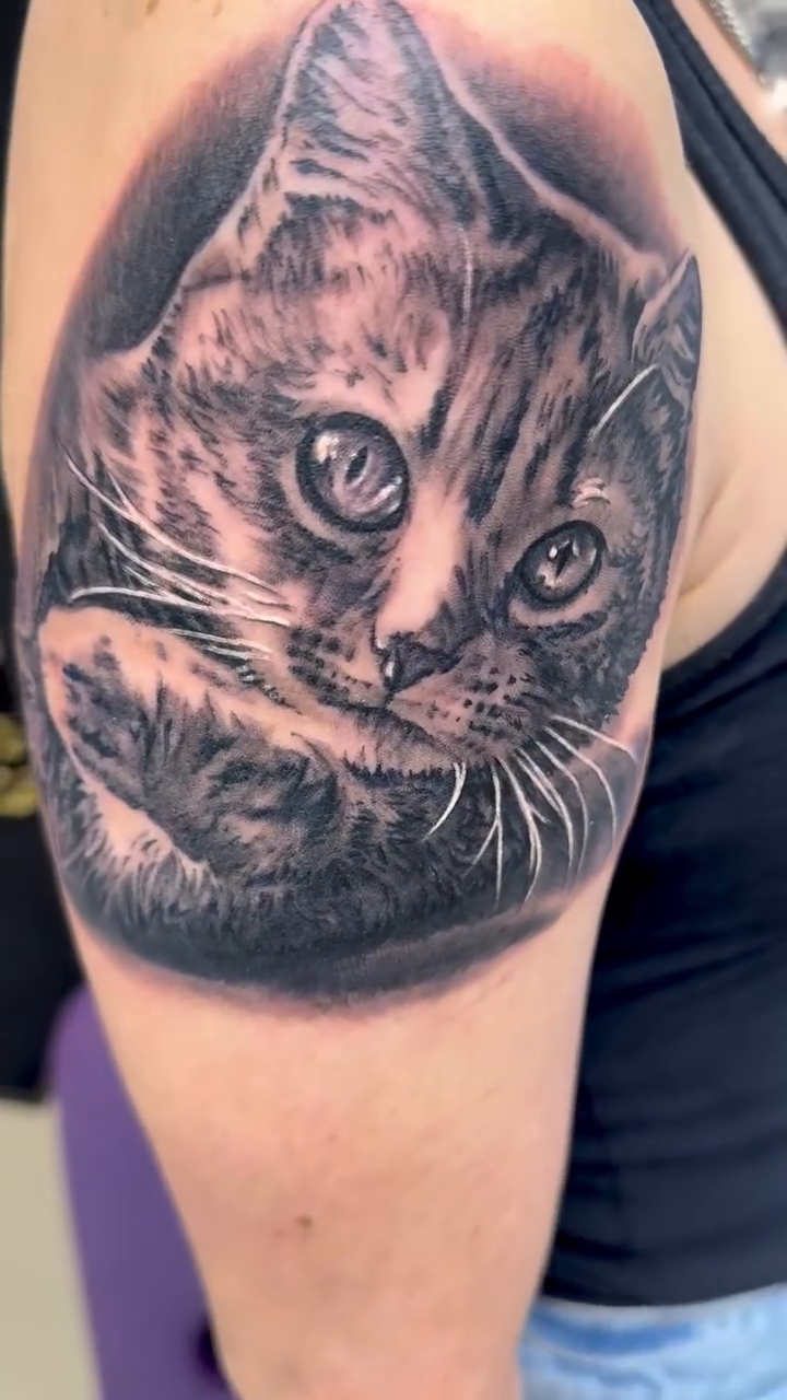 Cat portrait realism tattoo by Steve Bishov
