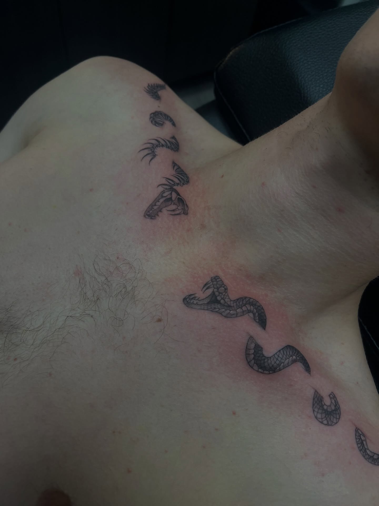 Snake black and grey tattoo on the chest by ashlyn rene