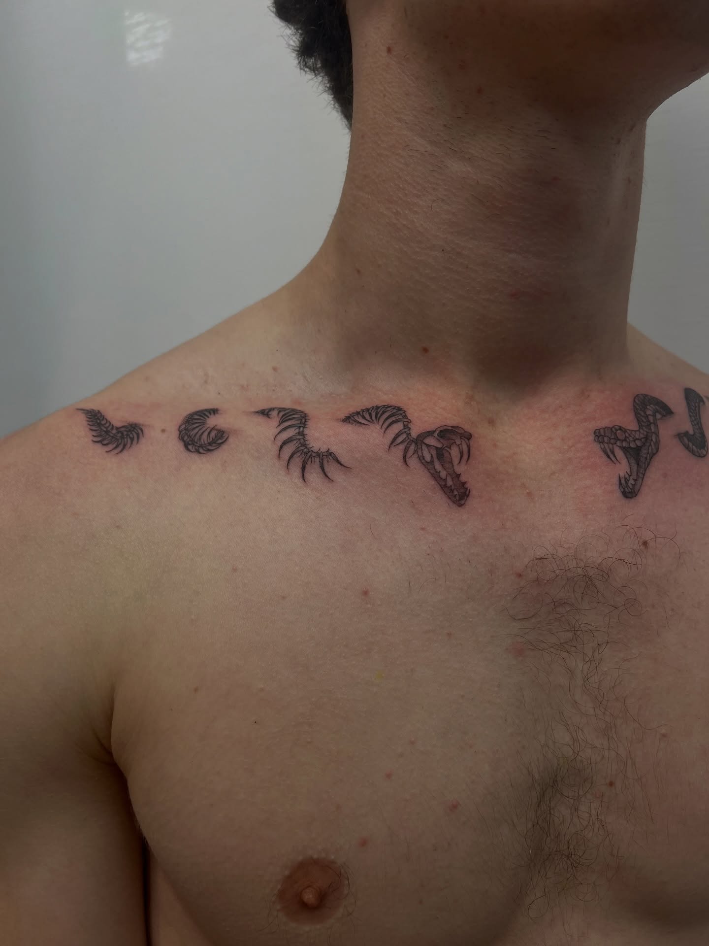 Insect motifs black and grey tattoo on the chest by ashlyn rene