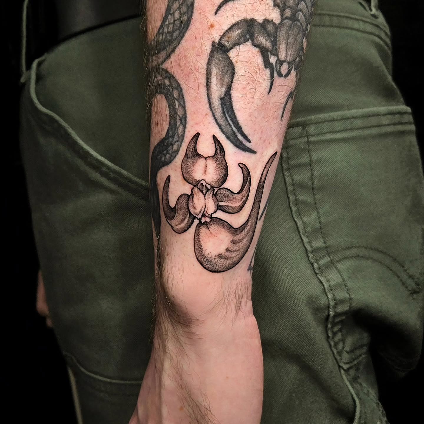 Tattoo by @glasswingtattoo — neo_traditional, black_and_grey