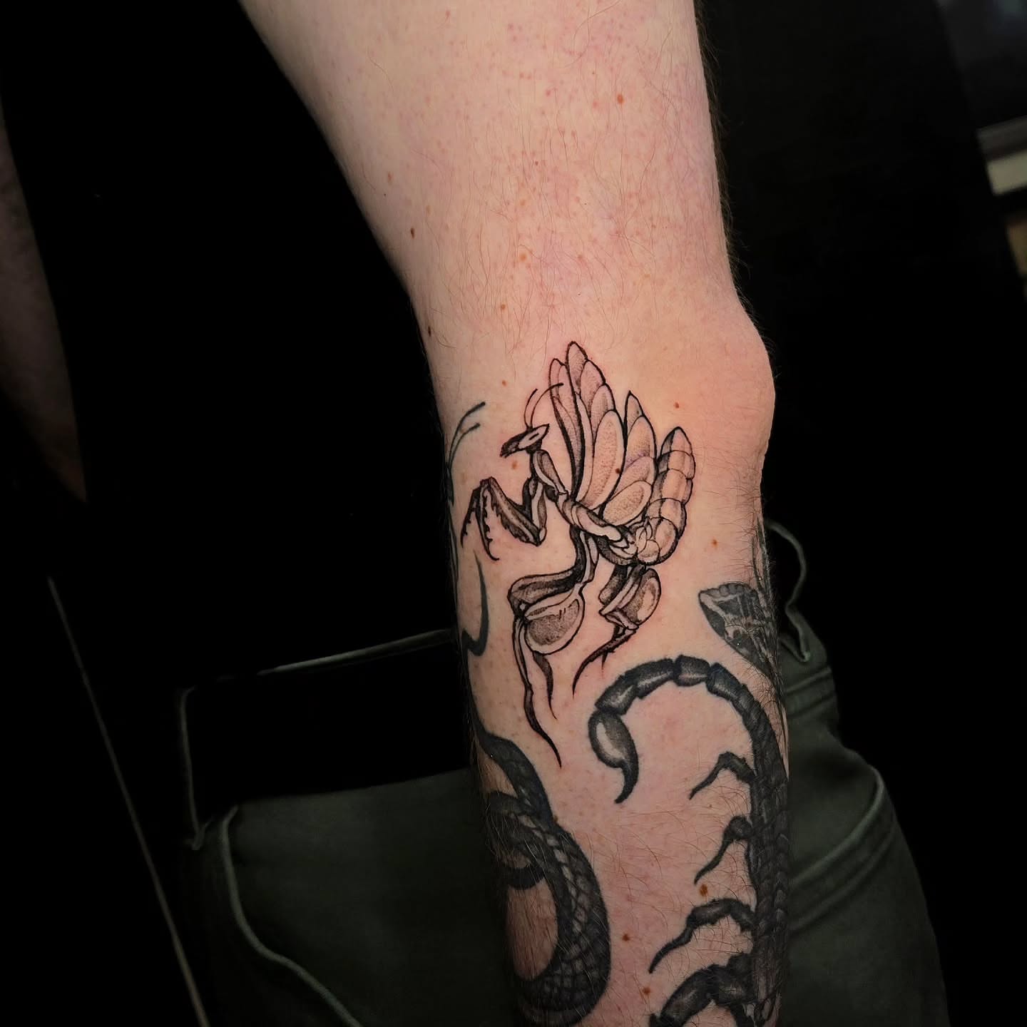 Tattoo by @glasswingtattoo — black_and_grey