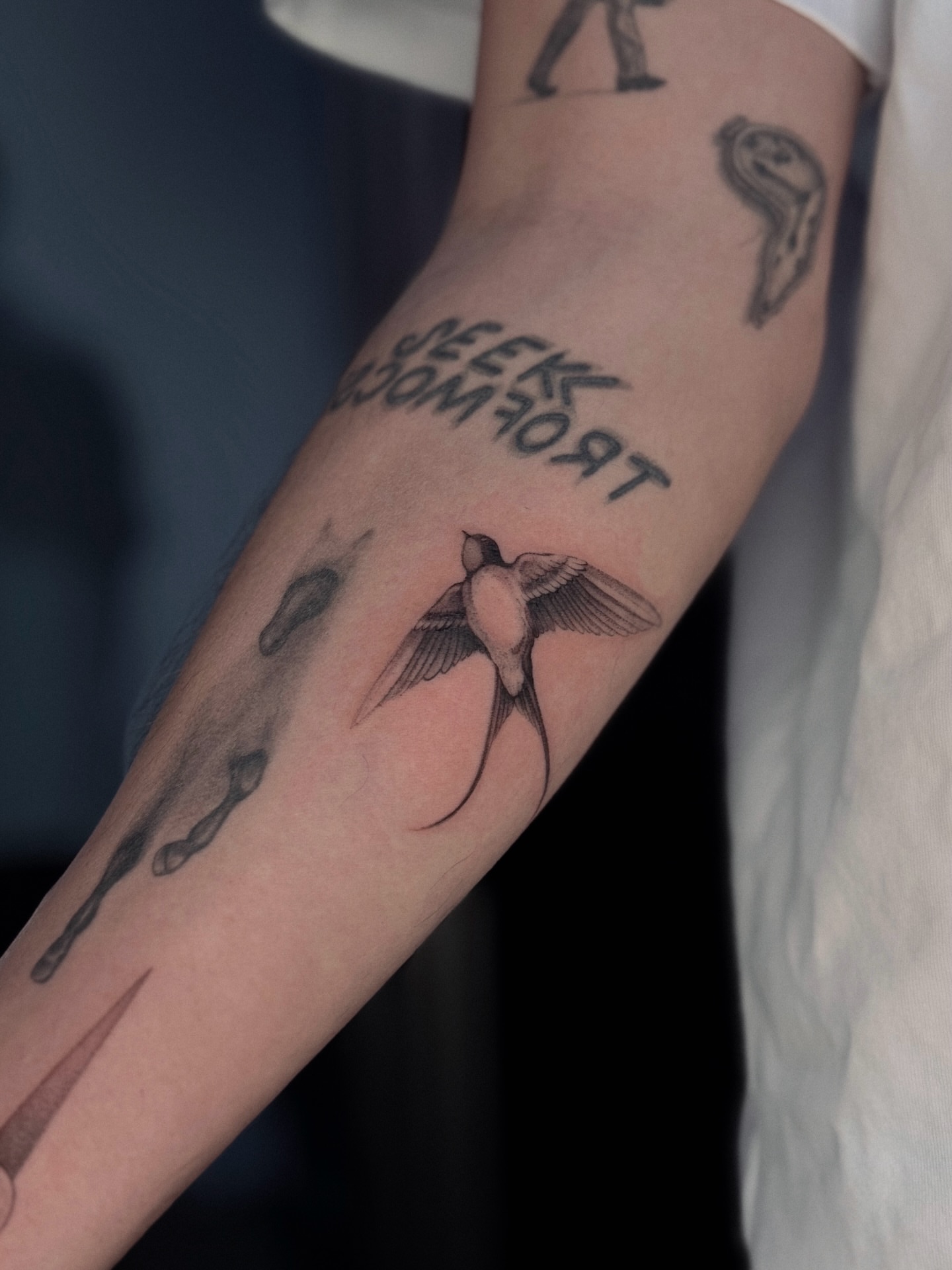 Swallow bird black and grey tattoo on the forearm by Daria