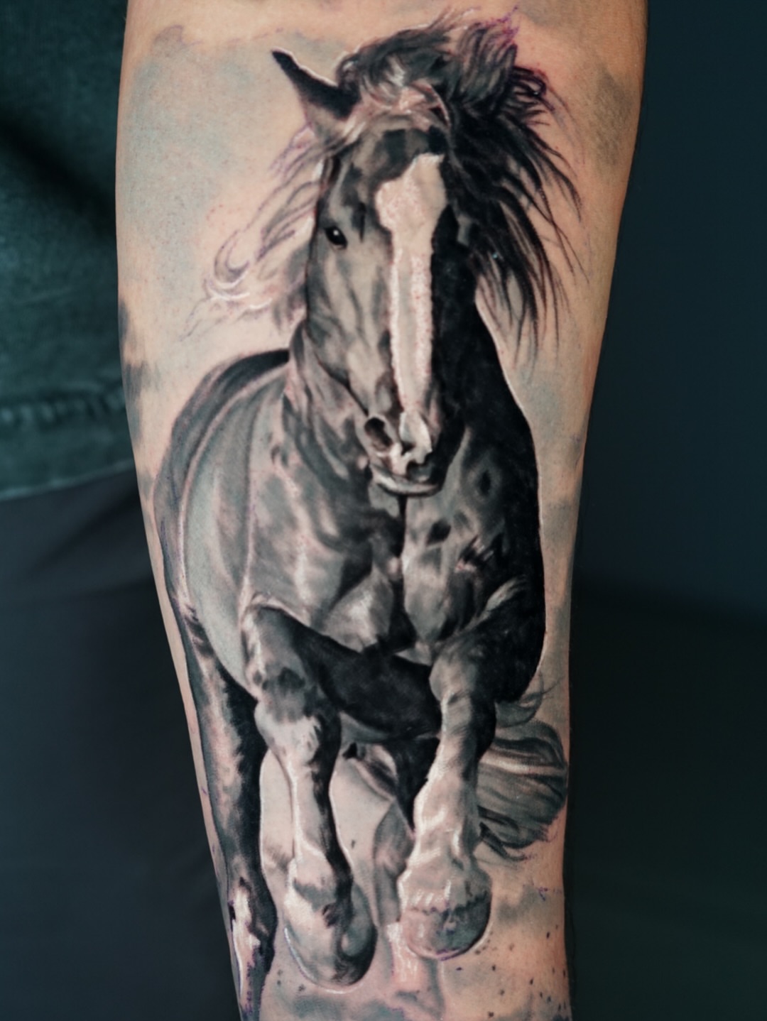 Galloping horse realism tattoo on the forearm by Jose Carlos
