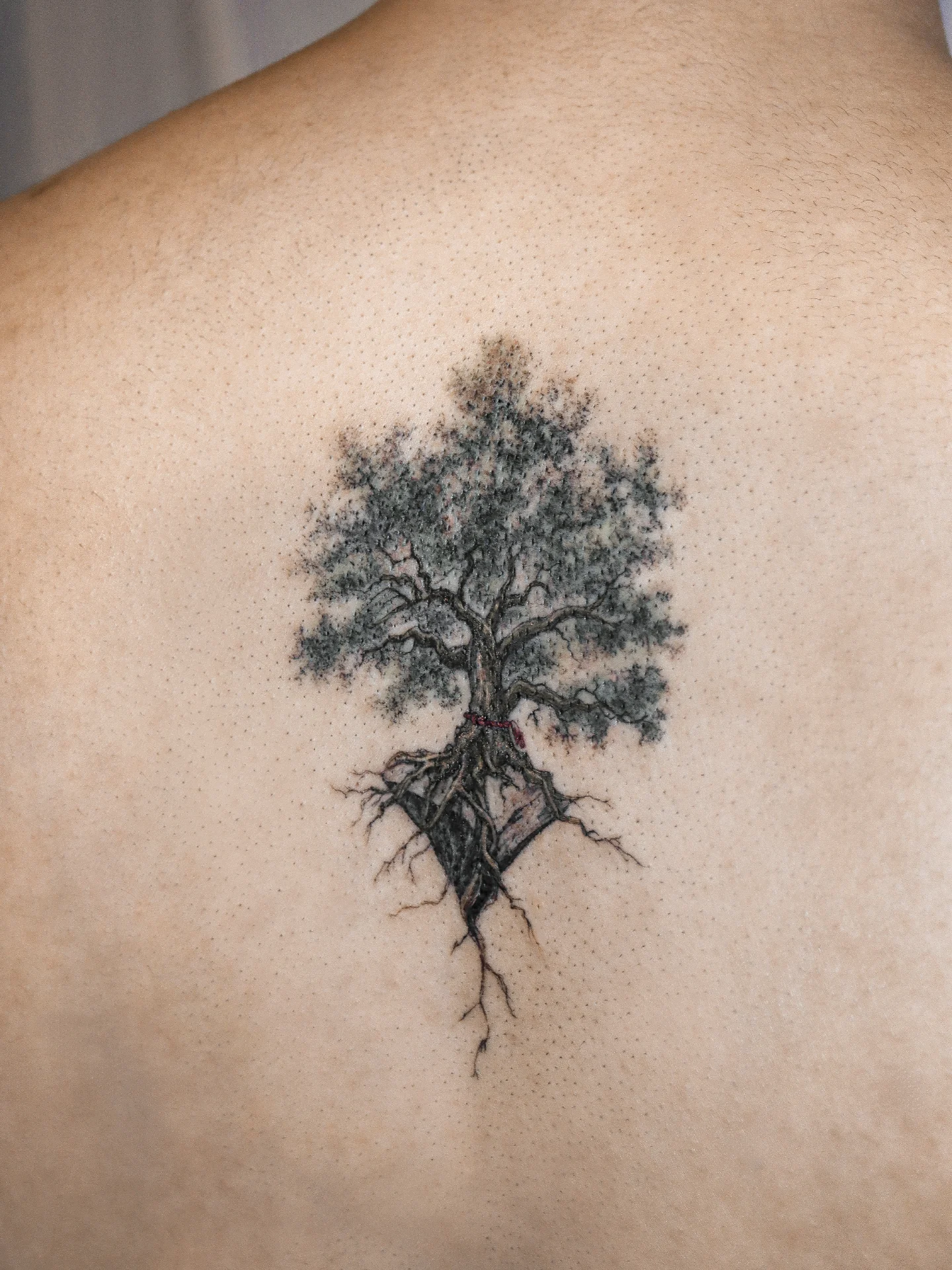 Tattoo by @tattooist_namoo — dotwork, realism
