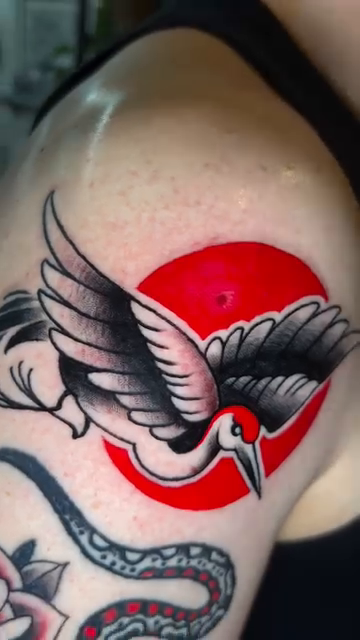 Crane and snake neo-traditional tattoo on the shoulder by Olivia Marie