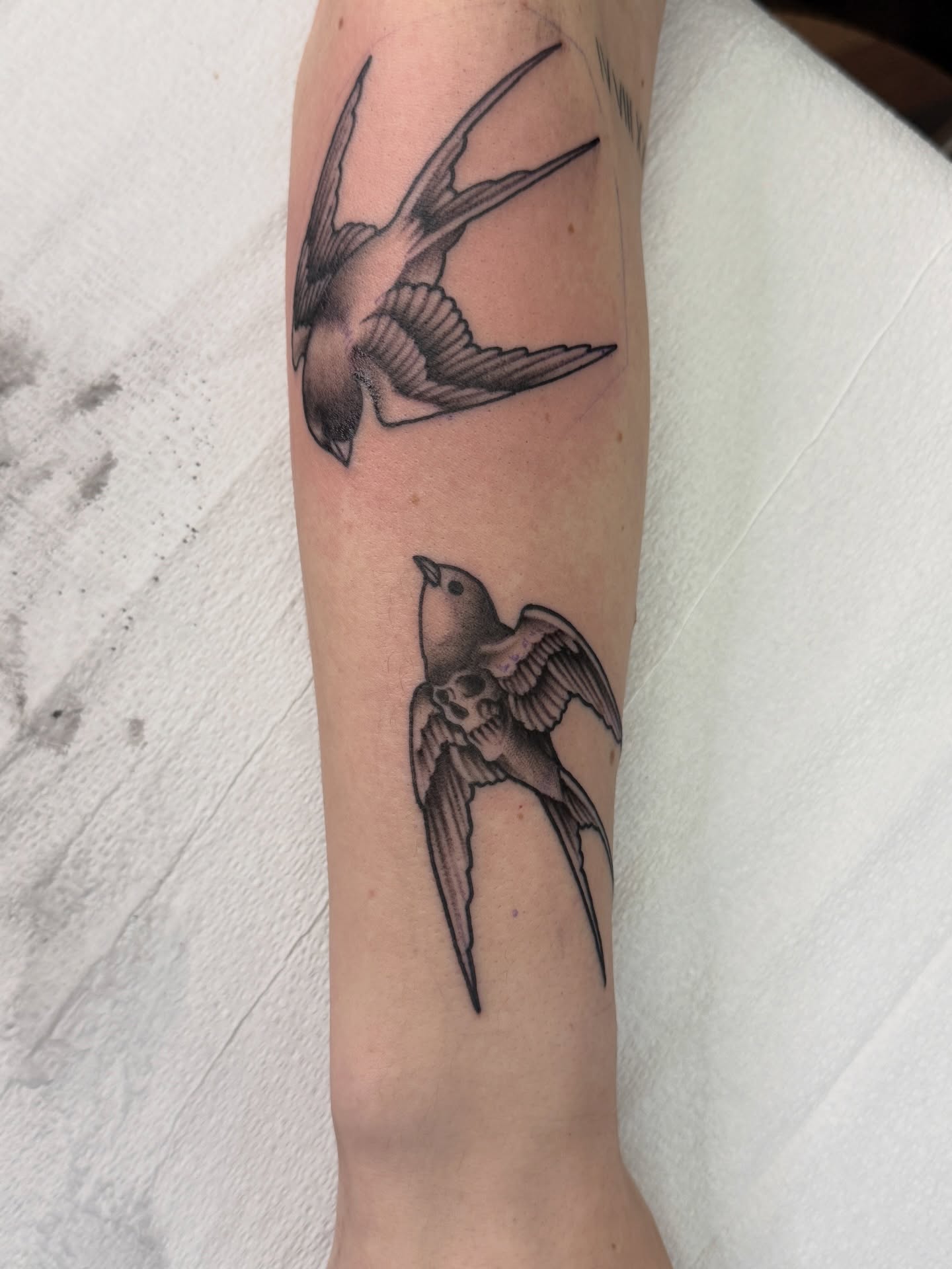 Swallows black and grey tattoo on the forearm by Jeremy Utley