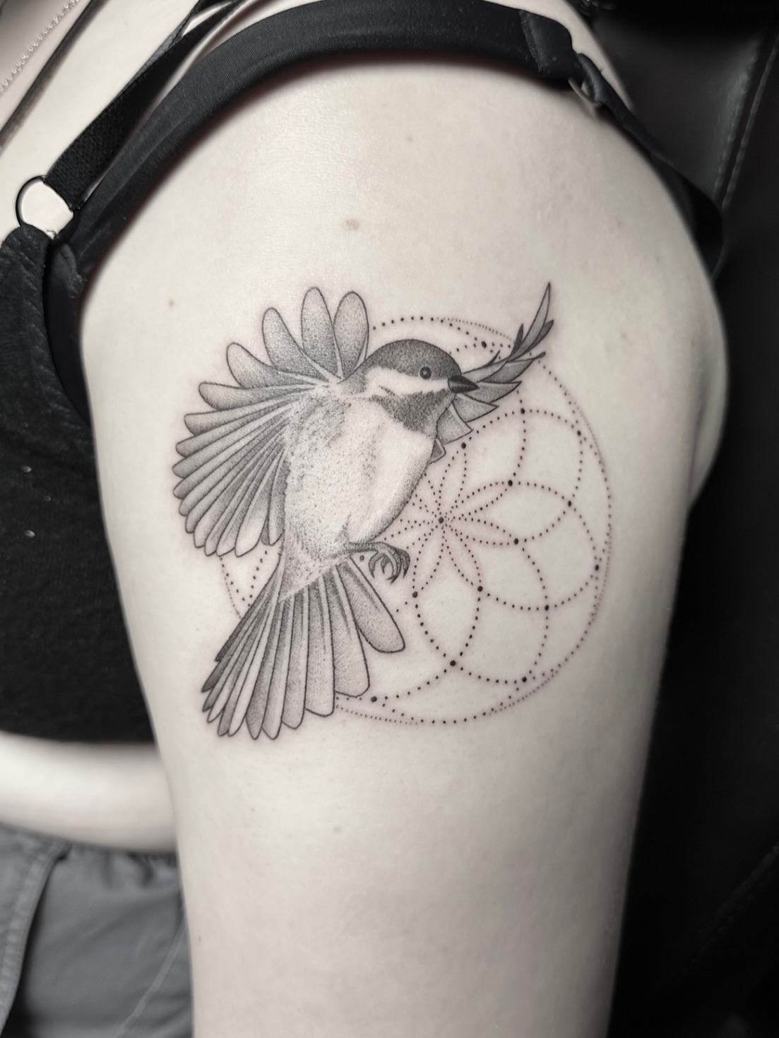 Tattoo by @cj.concepts — dotwork, realism