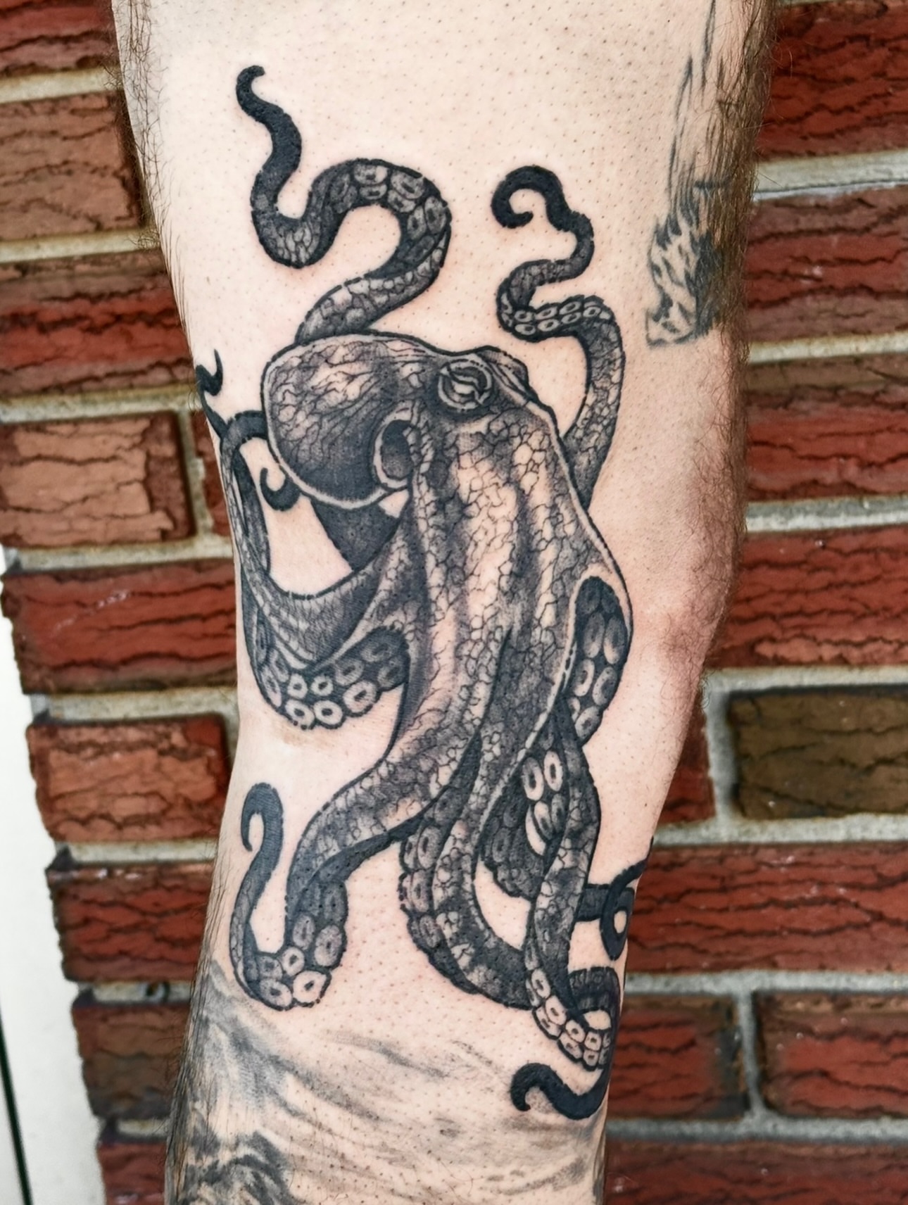 Tattoo by @bogwitchtattoos โ black_and_grey