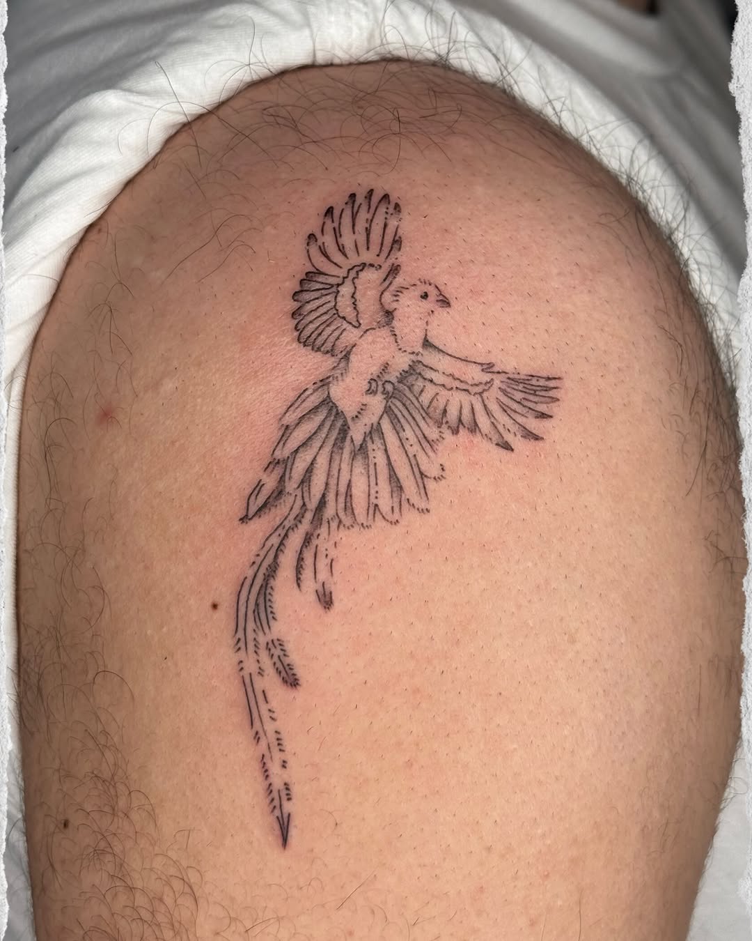 Tattoo by @mxminks โ fine_line, dotwork