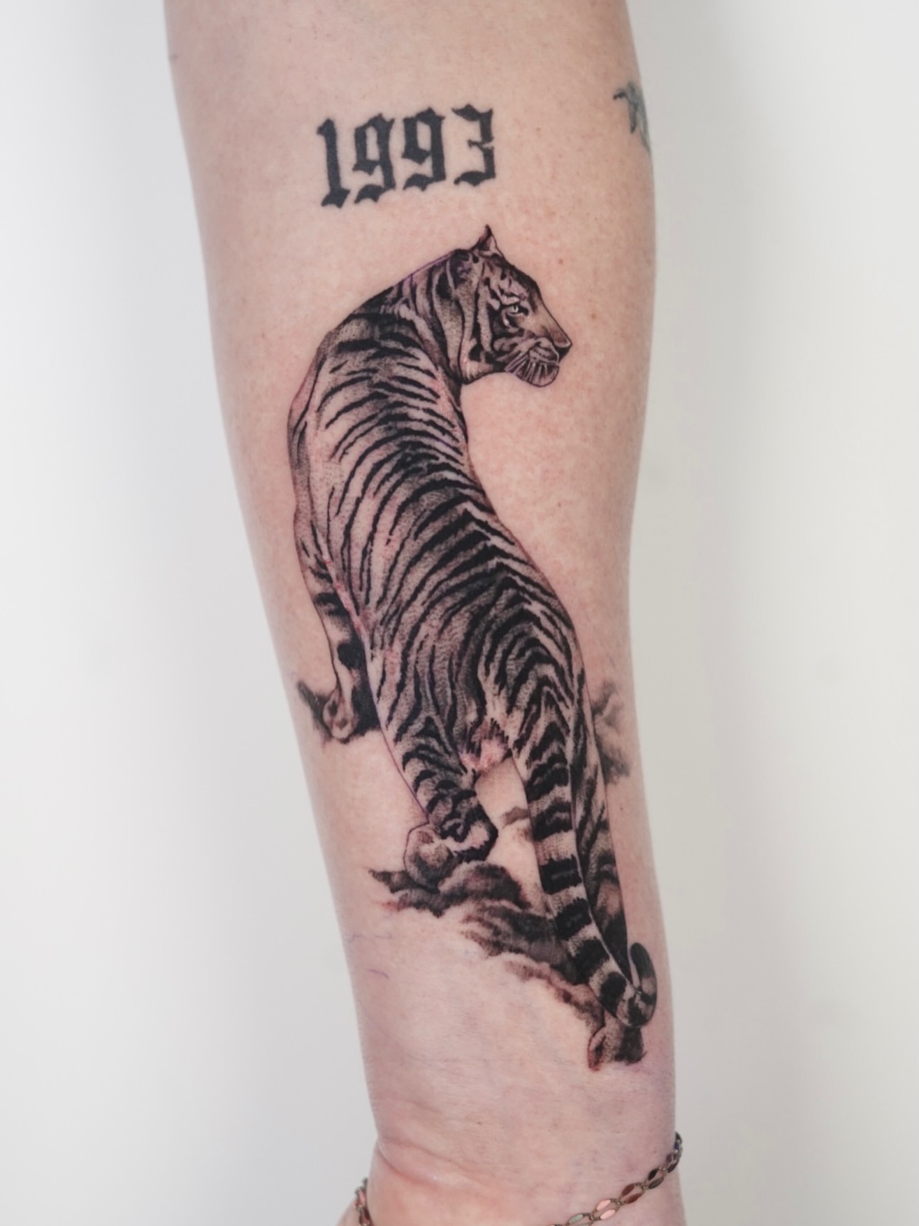 Tiger black and grey tattoo on the forearm by Tate Wortham