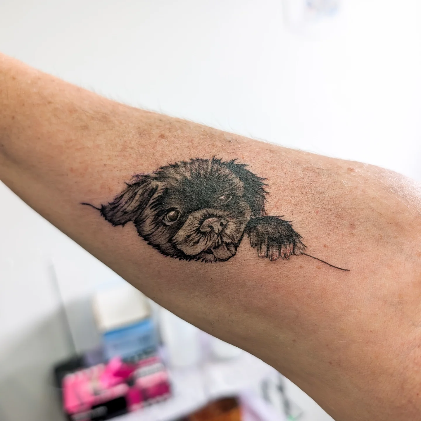 Tattoo by @poked.protein — realism