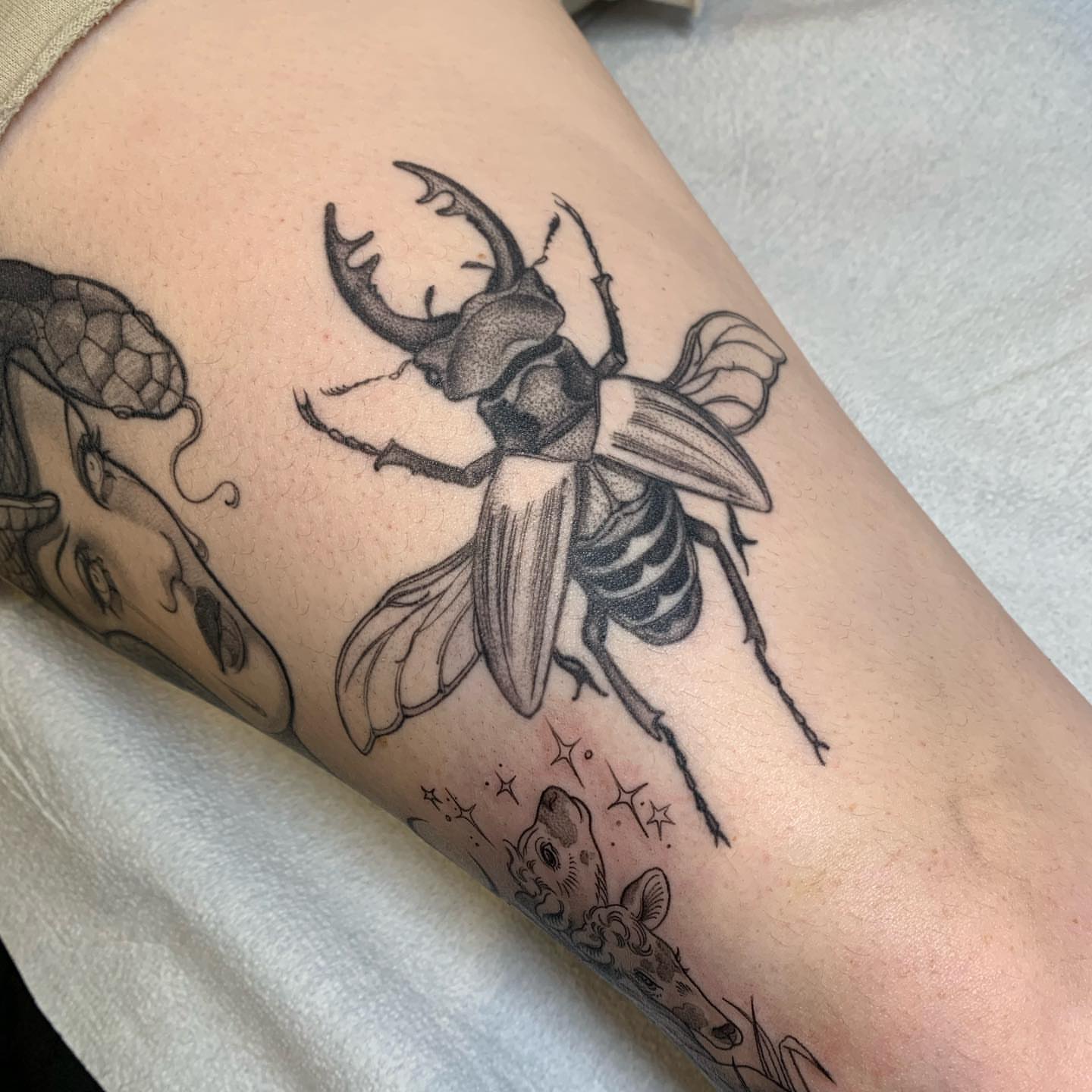 Tattoo by @tabby_wirebach_tattoos — black_and_grey