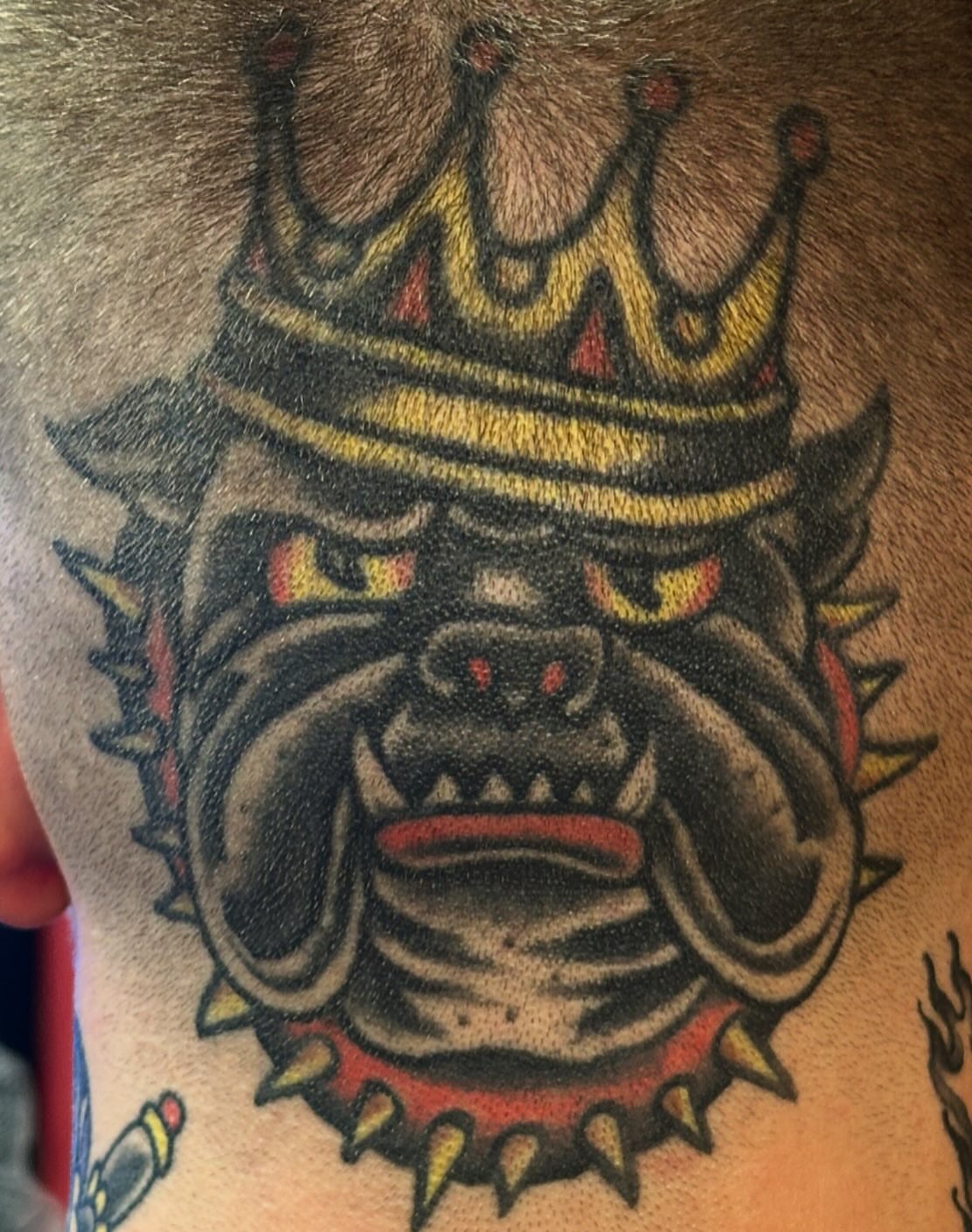 Bulldog crown American traditional tattoo on the chest by Rob, Nashville, Tennessee