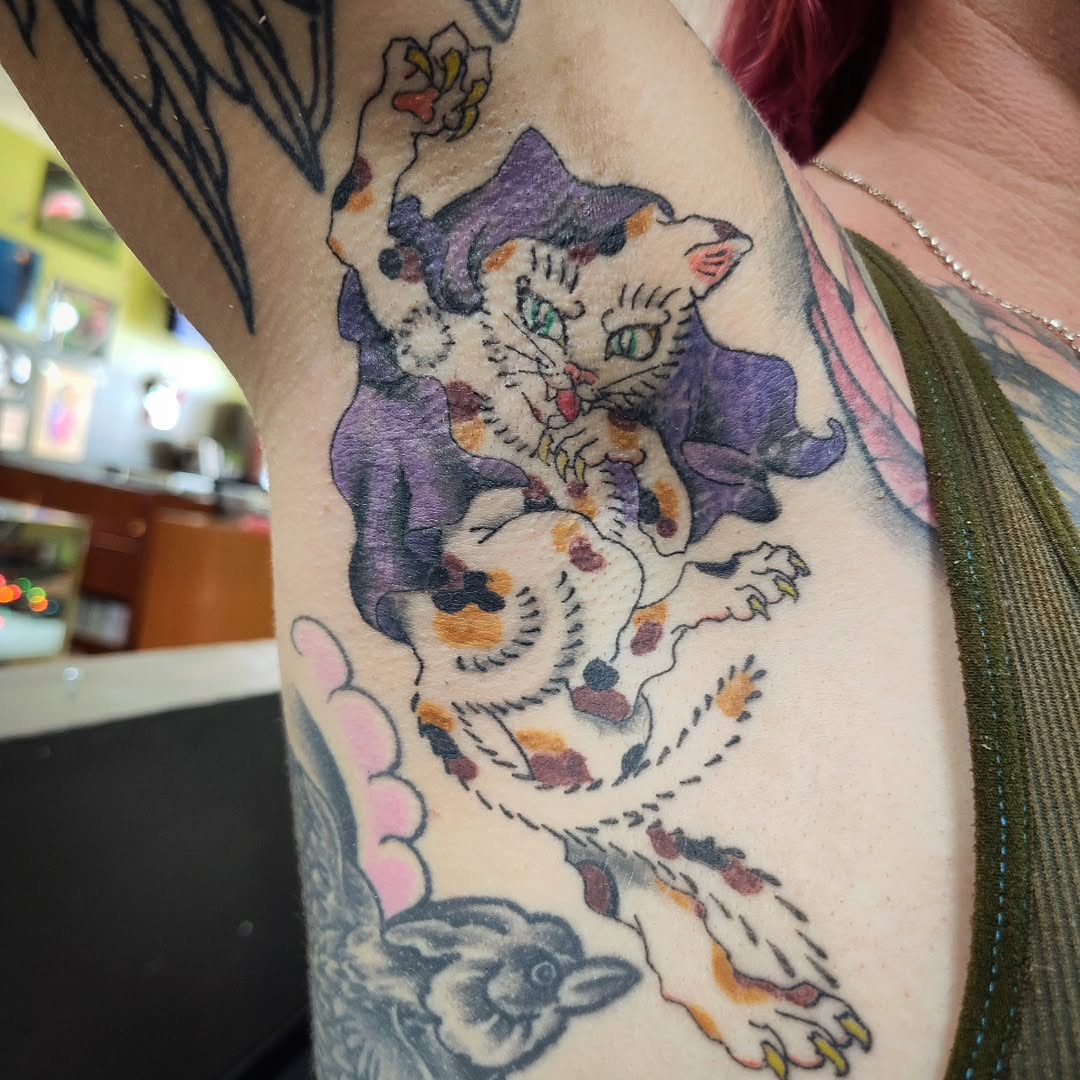 Cat American traditional tattoo on the forearm by Julie MacDonald