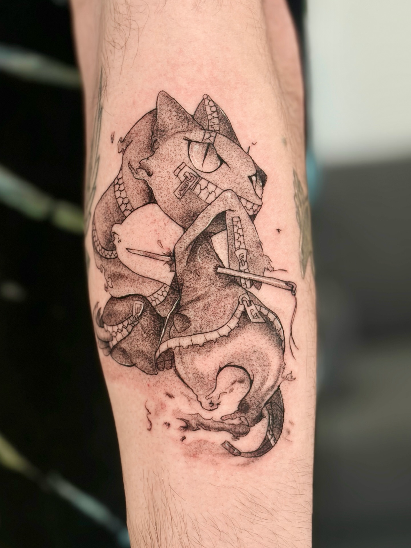 Cat riding snake dotwork tattoo on the forearm by Quinn ᶻ 𝗓 𐰁 .ᐟ, Charlotte, North Carolina