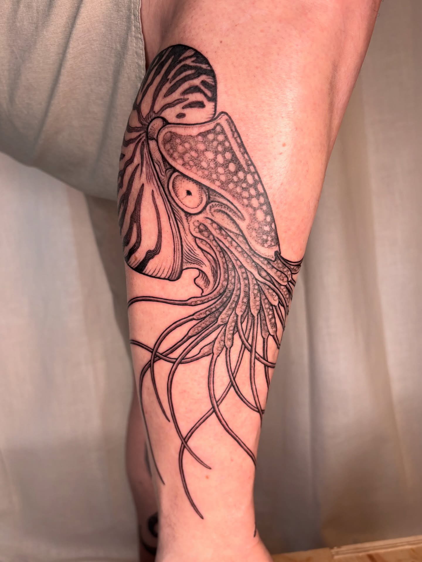 Tattoo by @maggiechotattoo — black_and_grey, realism