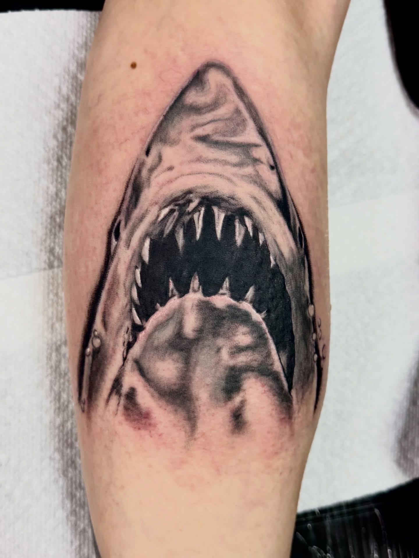 Jaws shark realism tattoo on the forearm by Josh Kronauer