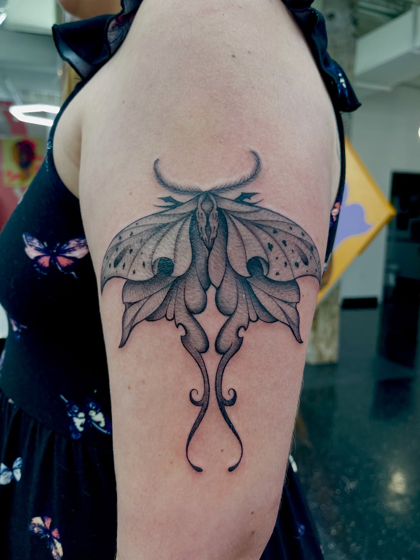 Winged creature black and grey tattoo on the shoulder by πππππ¨π¨ ππ«ππ’π¬π