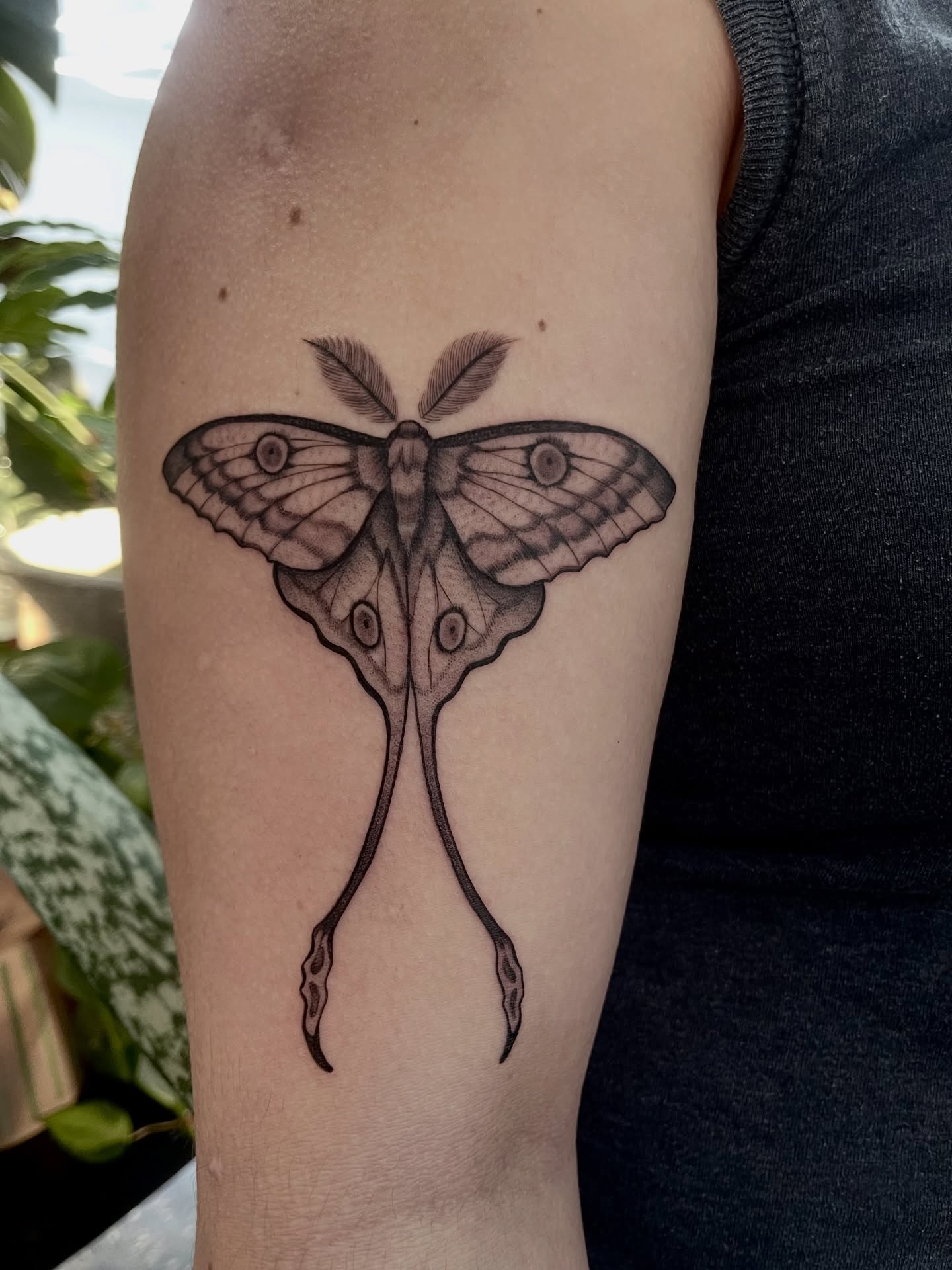 Tattoo by @zeebrruh_ — black_and_grey