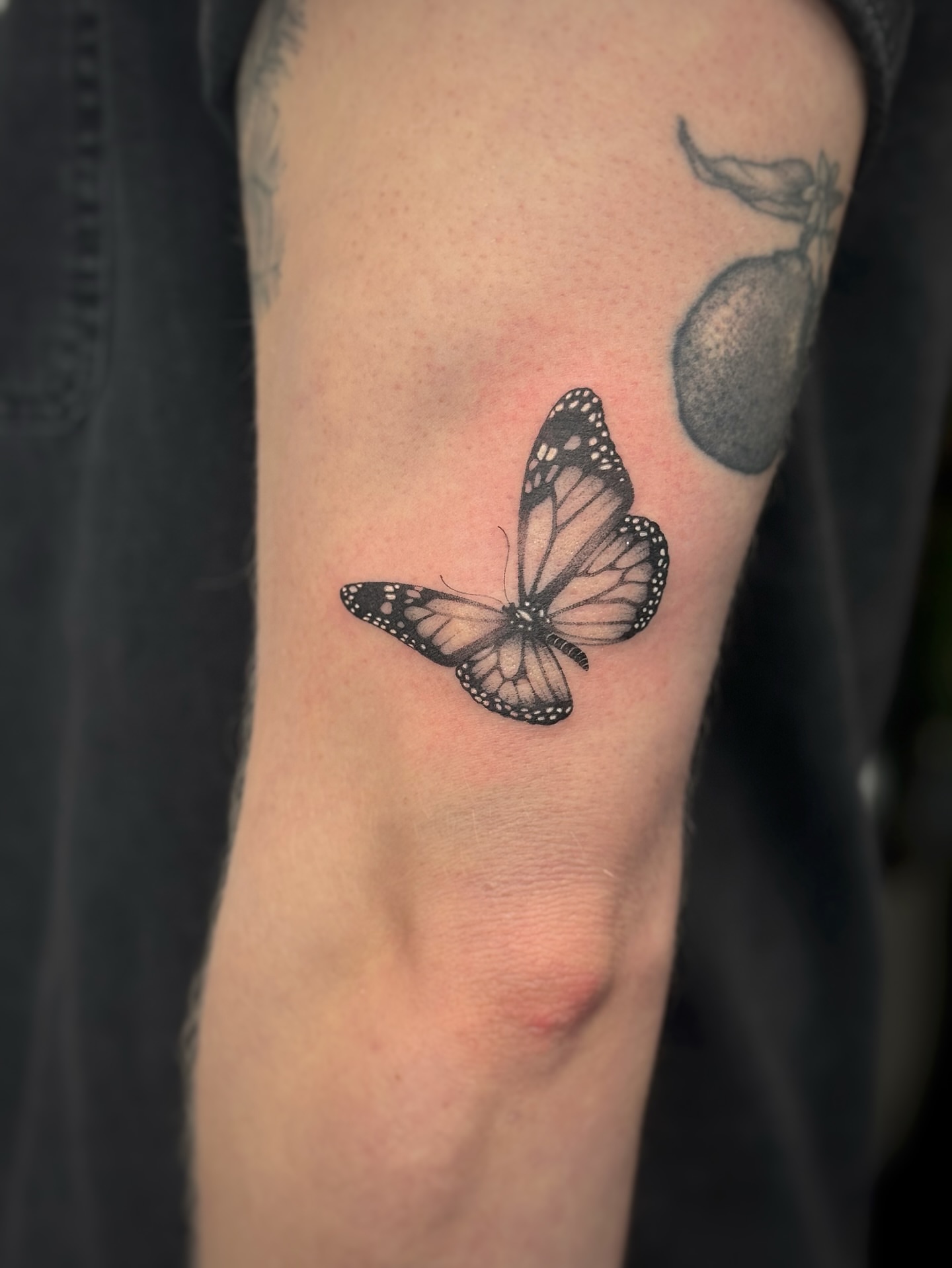 Butterfly black and grey tattoo on the forearm by Lea Burkard, Berkeley, California