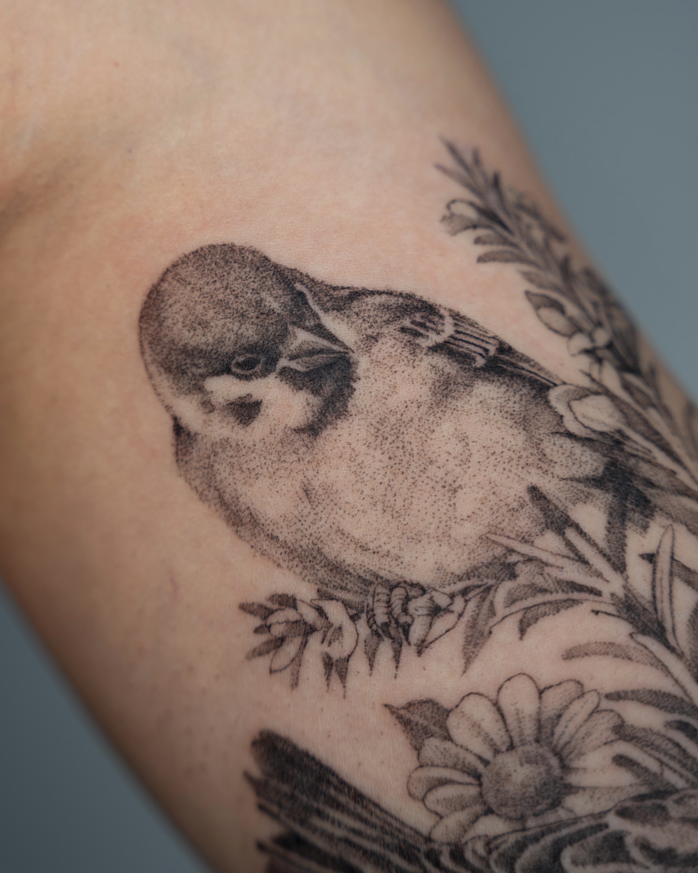 Bird dotwork tattoo on the forearm by Tri