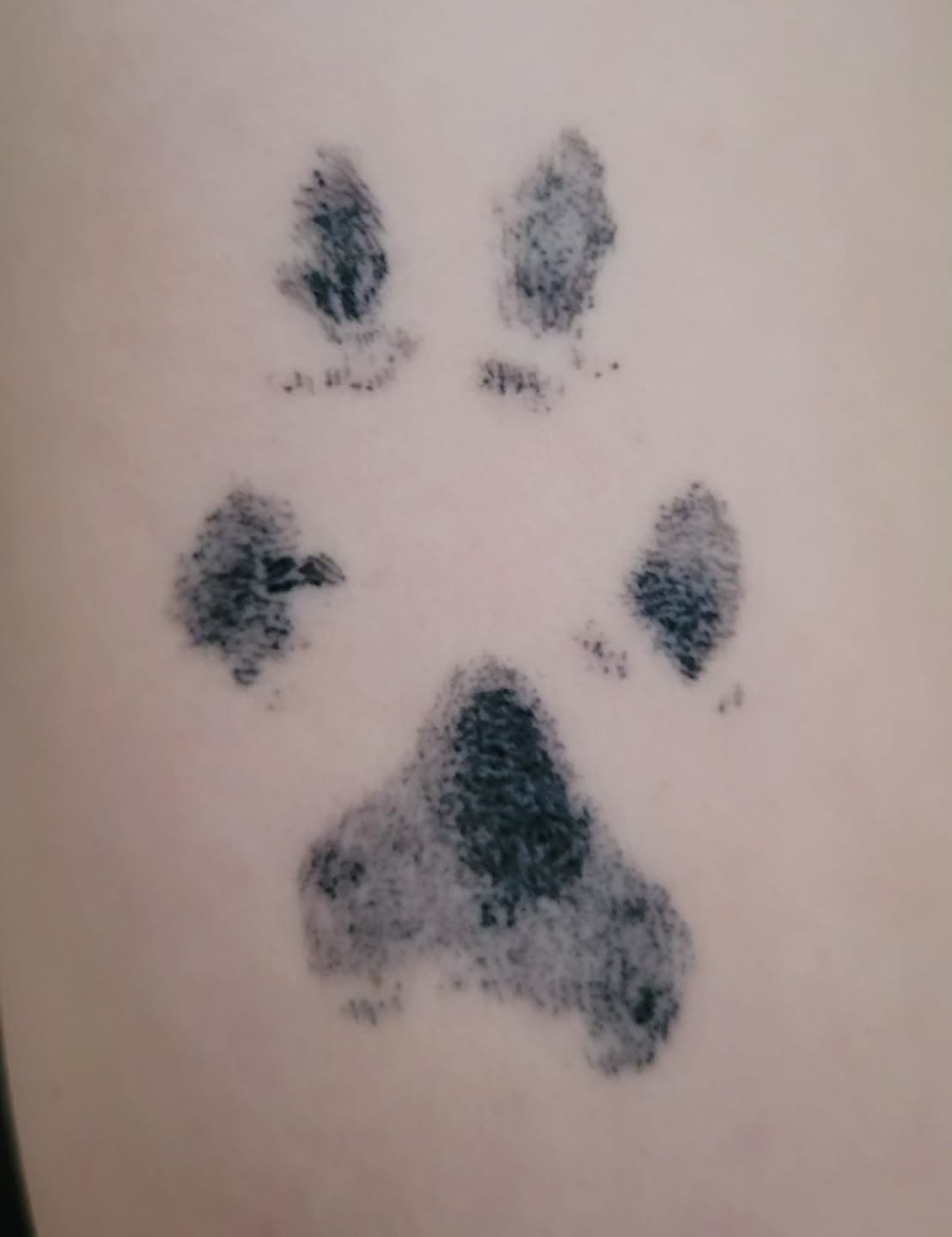 Paw print black and grey tattoo on the forearm by Collin Squire - YYC Tattoo Artist