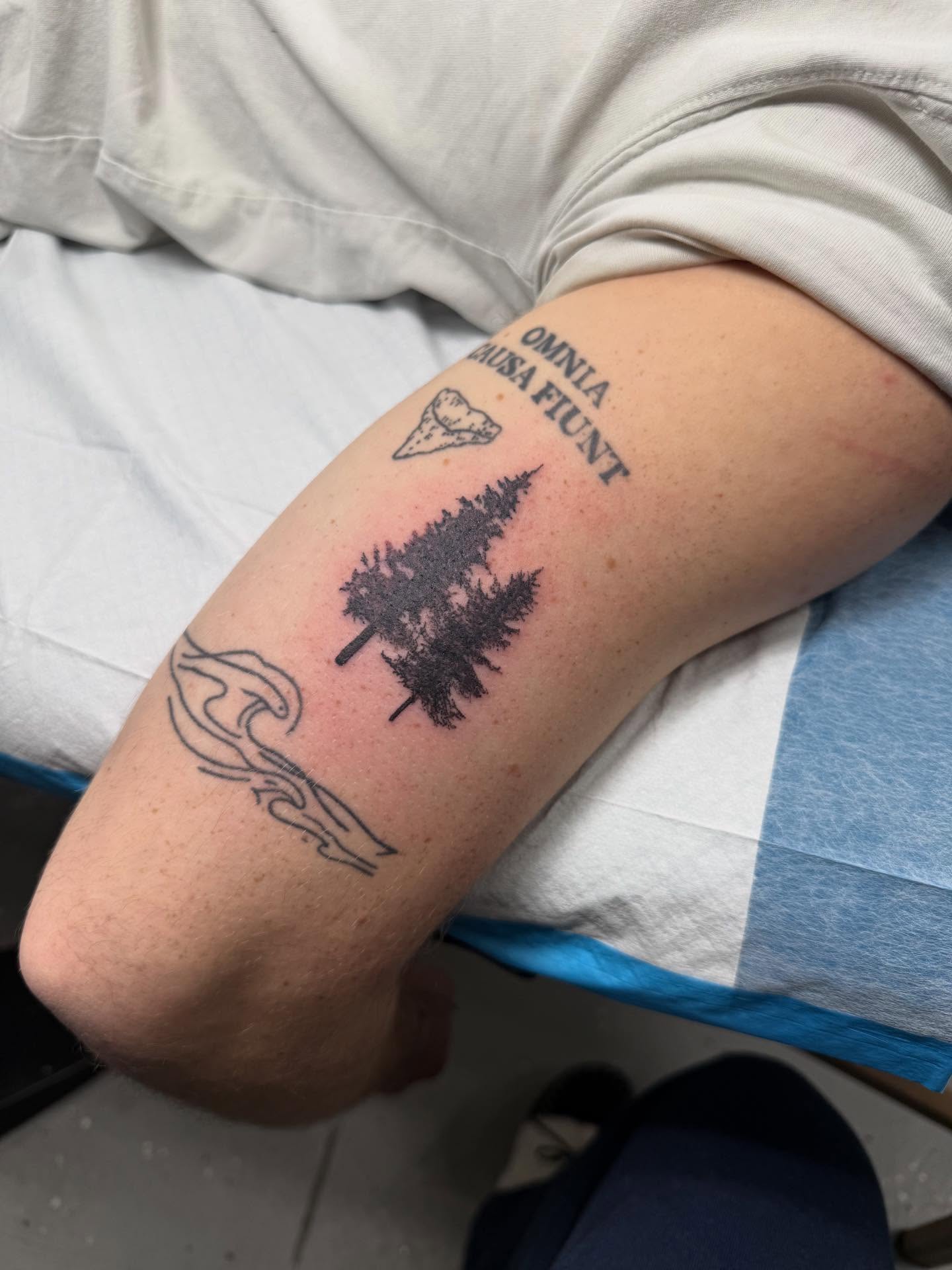 Pine tree black and grey tattoo on the forearm by Maddie Jo DeYoung