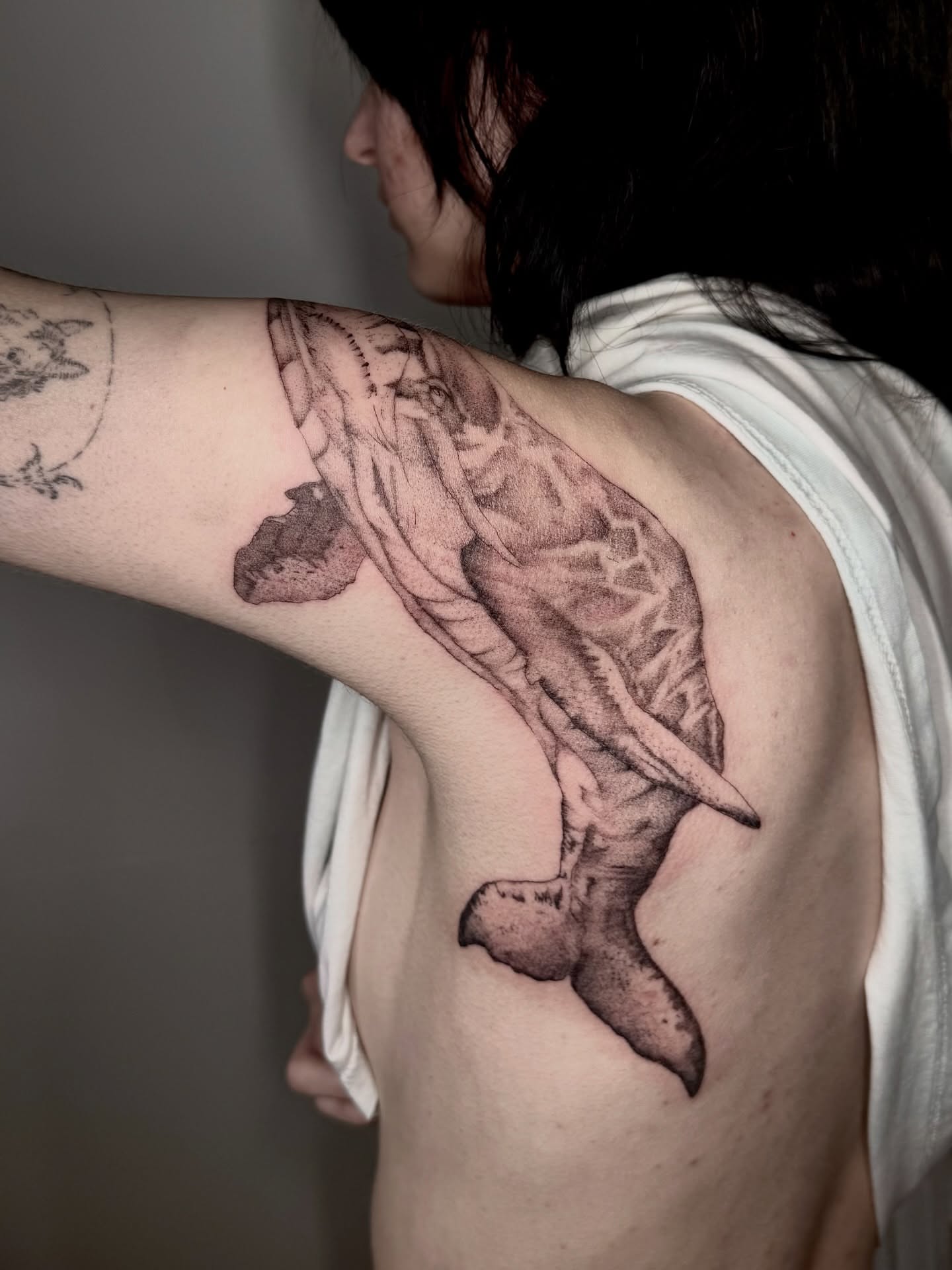 Shark black and grey tattoo on the shoulder by Ian Saner