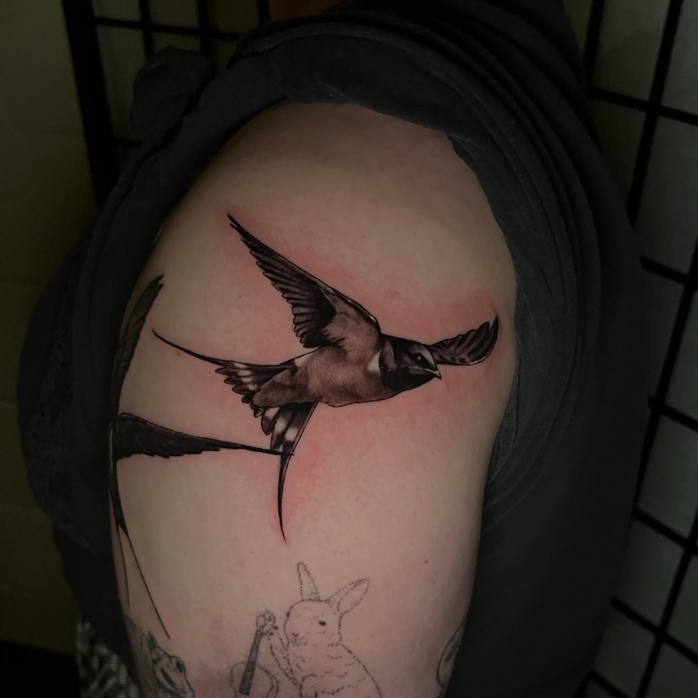 Swallow realism tattoo on the shoulder by Mant