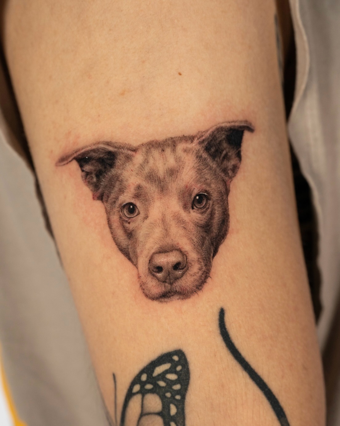 Tattoo by @toki.tattoos — realism