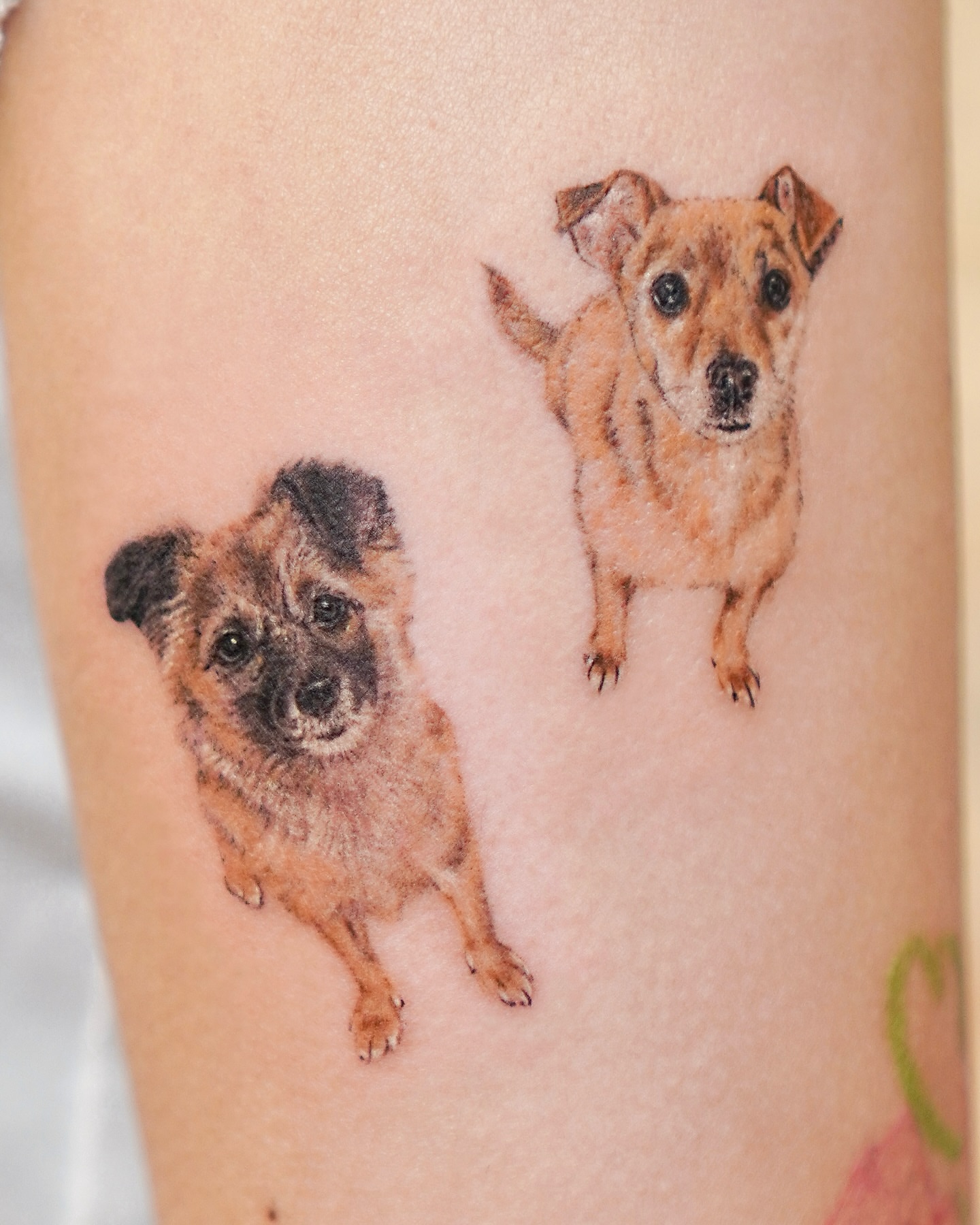 Tattoo by @yous_tattoo — realism