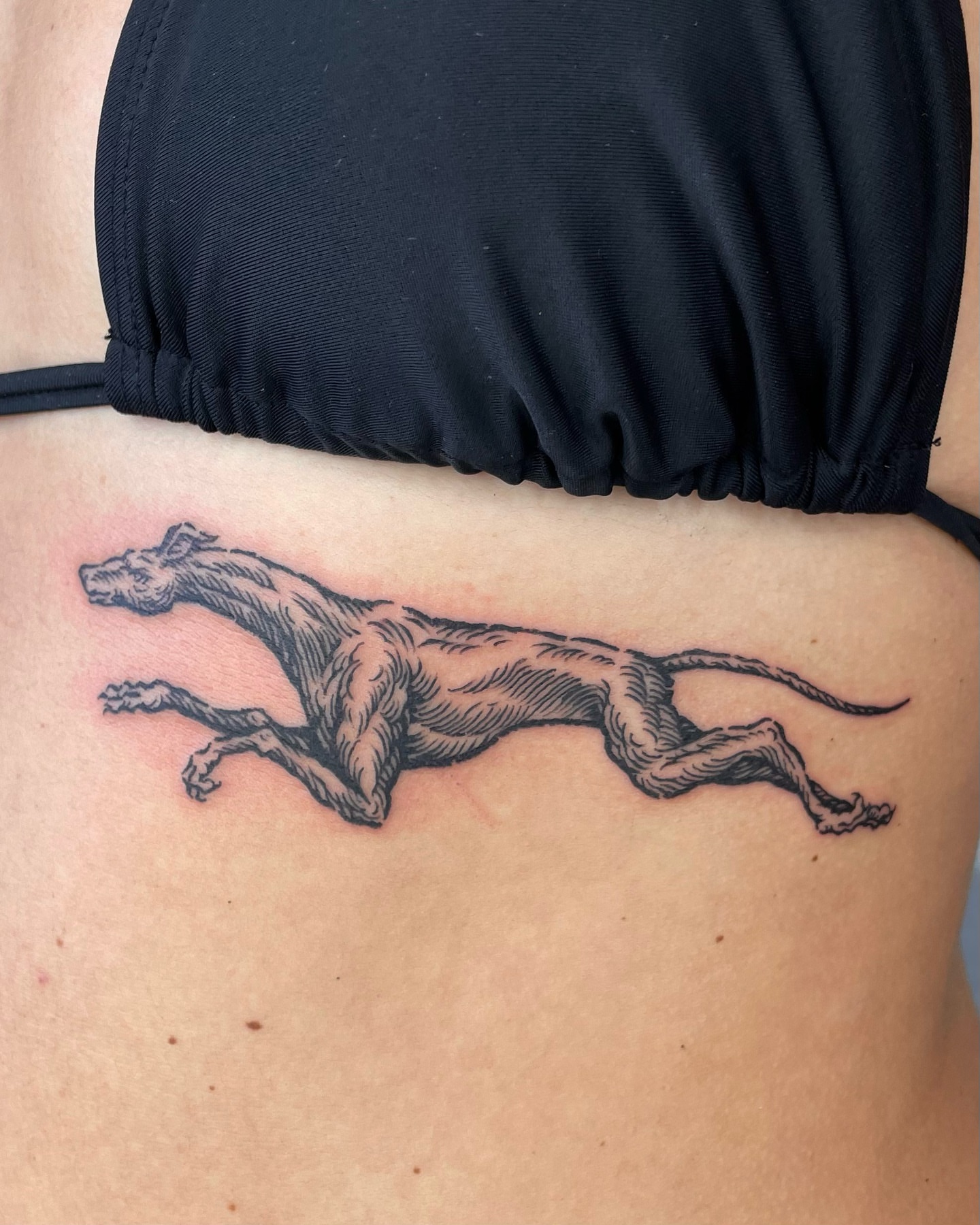 Running dog black and grey tattoo on the ribs by Anh Đan