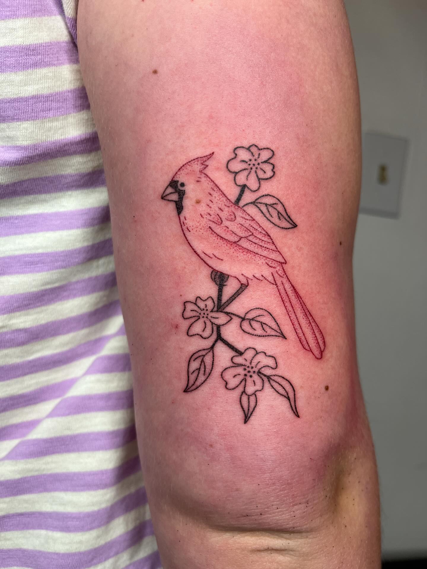 Cardinal and flowers American traditional tattoo on the forearm by natalie