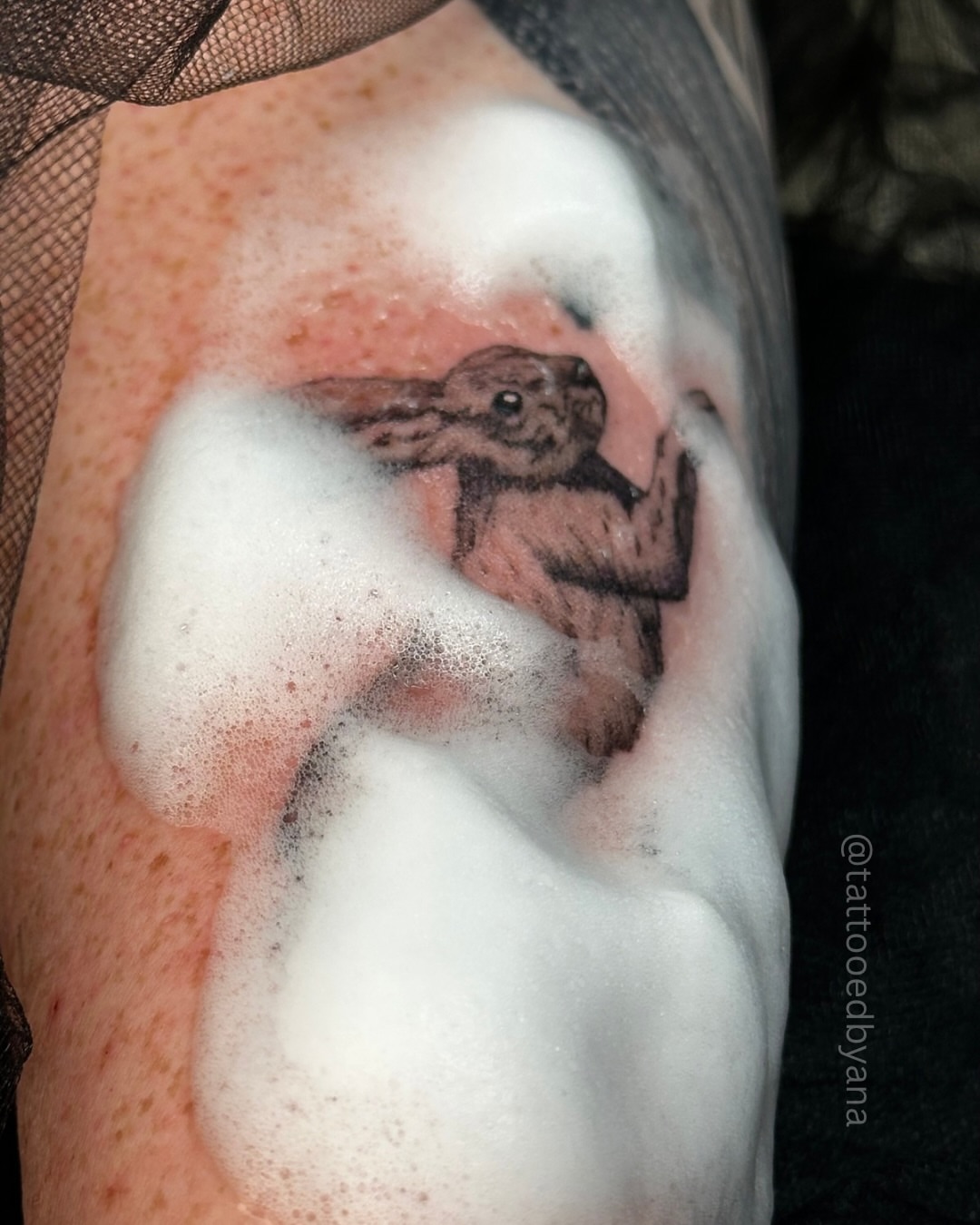 Hare black and grey tattoo on the forearm by Tattoo artist Denver