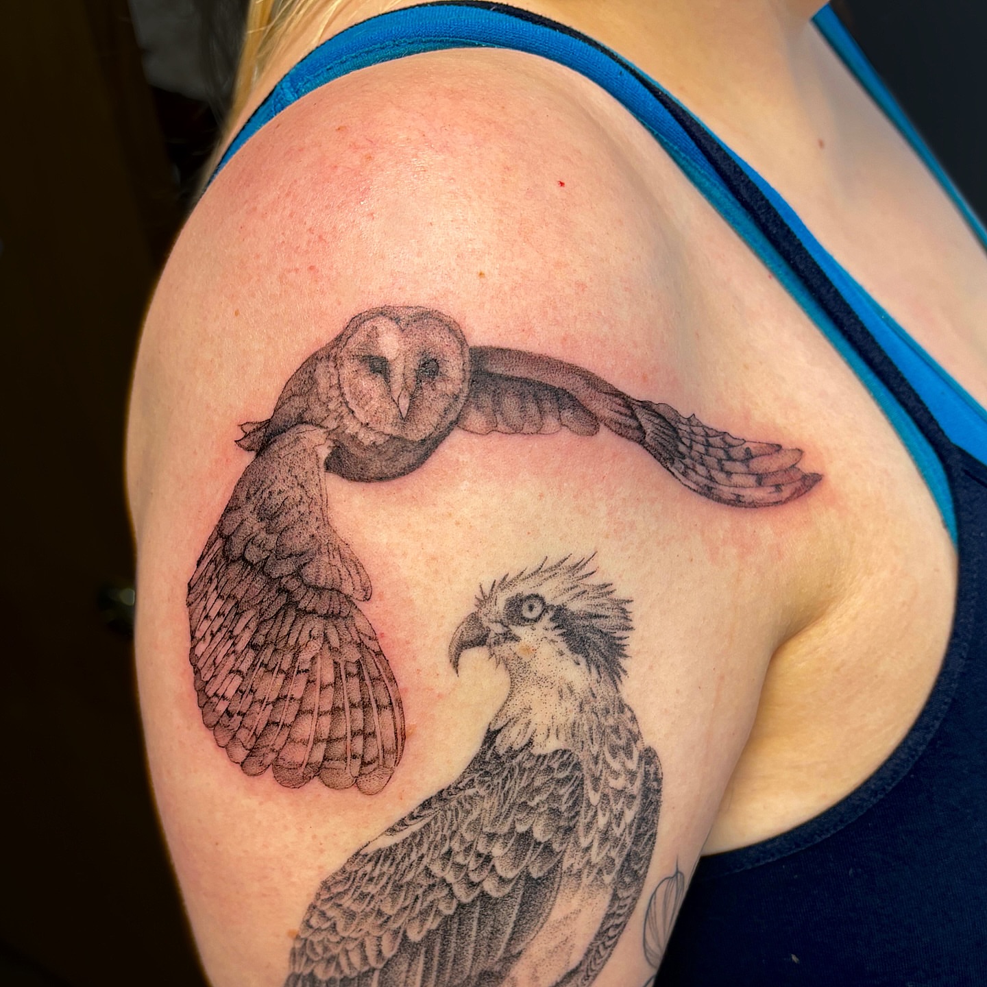 Owl and eagle realism tattoo on the shoulder by Jessica McKinley Tattoo Artist